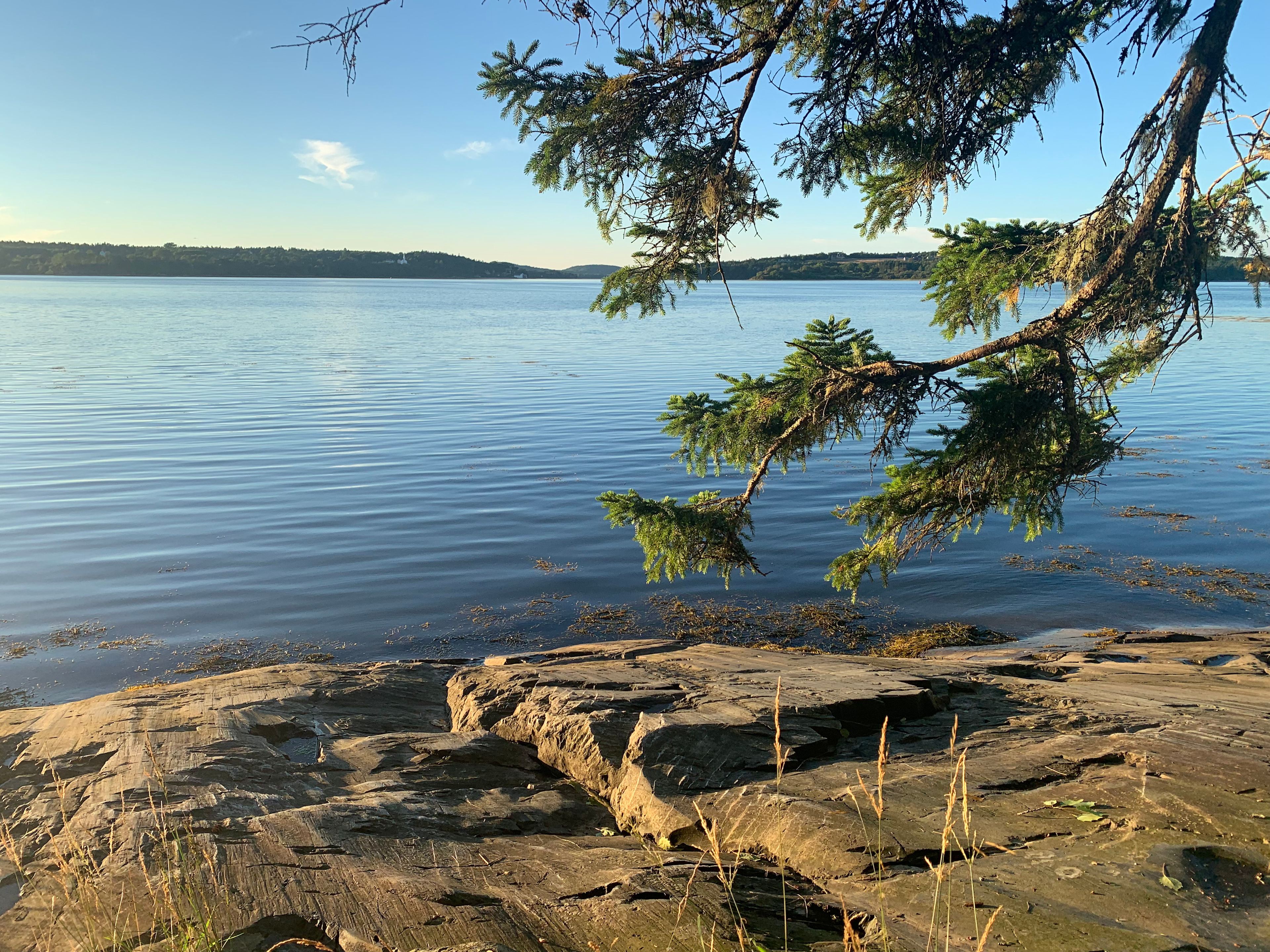 Flat rock beach on the bay. Tide's up!
