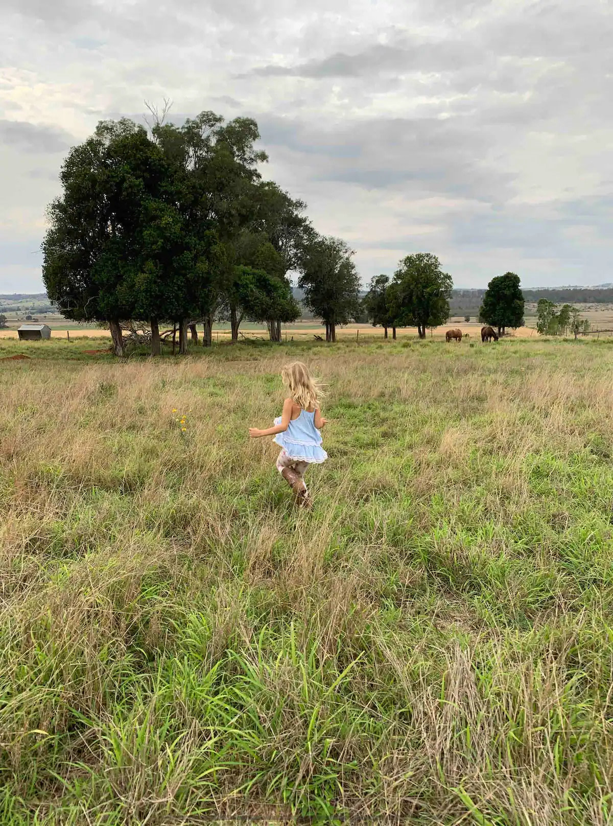 Bottle Tree Farm Studio and Camping