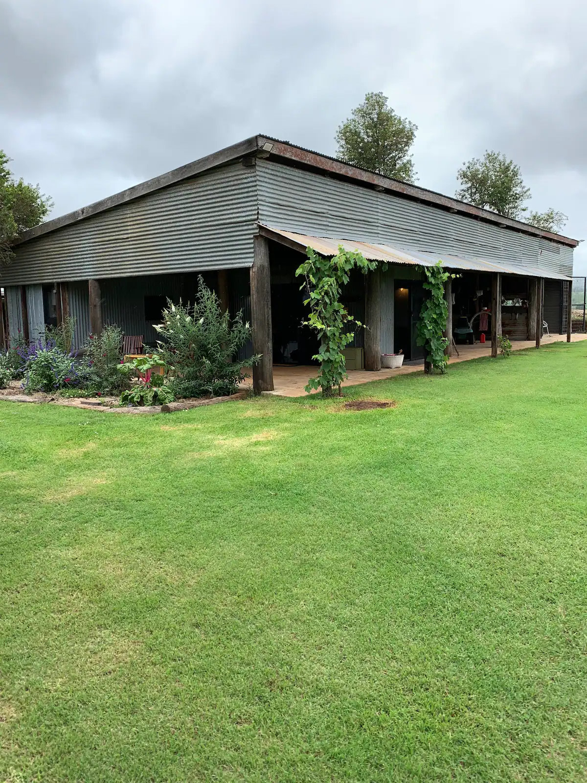 Bottle Tree Farm Studio and Camping