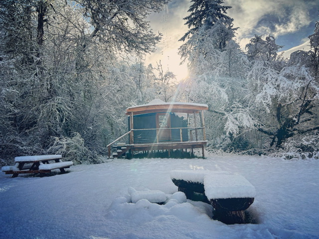 Squared Roots Farm Yurt