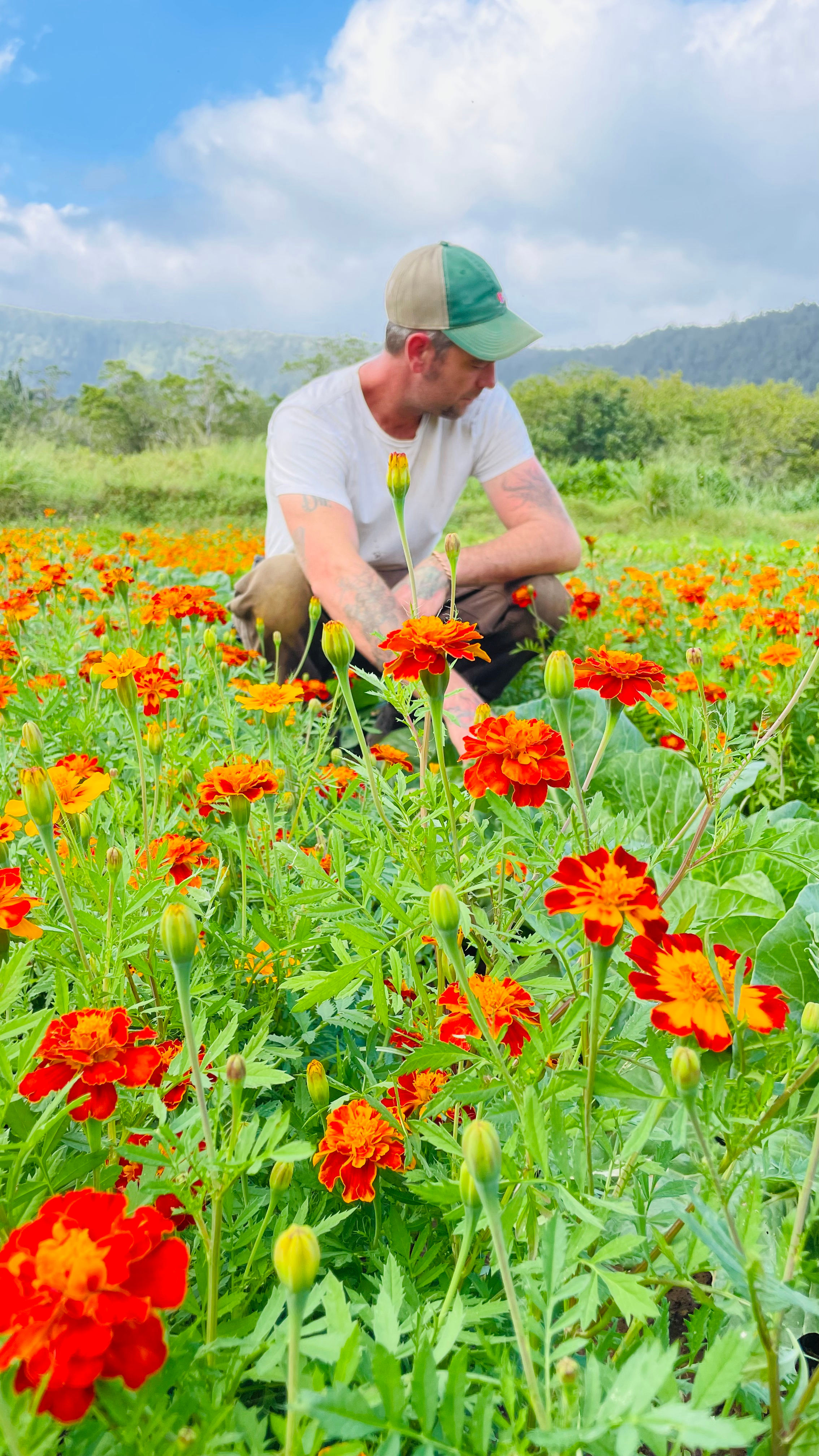 Farm life at Ancient Valley Growers