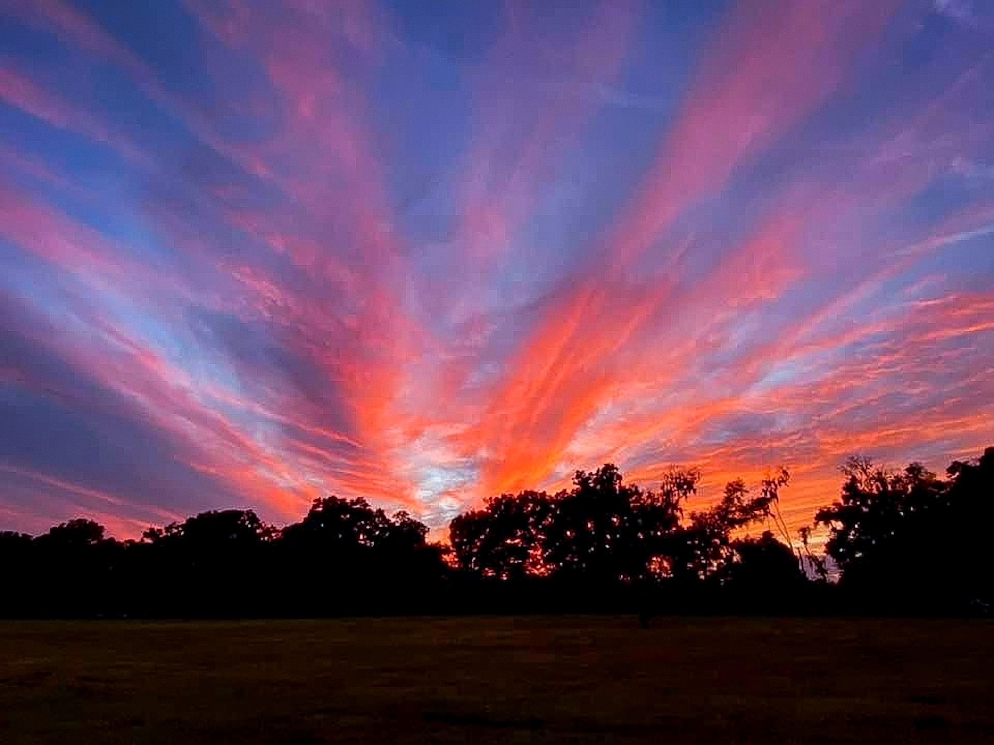 Grass Campers Country Cow Farm