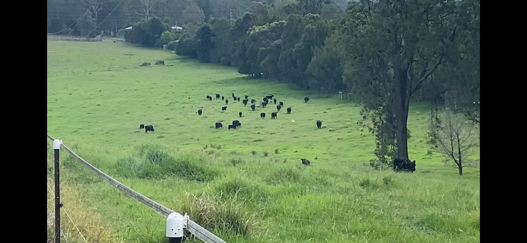 Glenduart Farm Riverside Camps