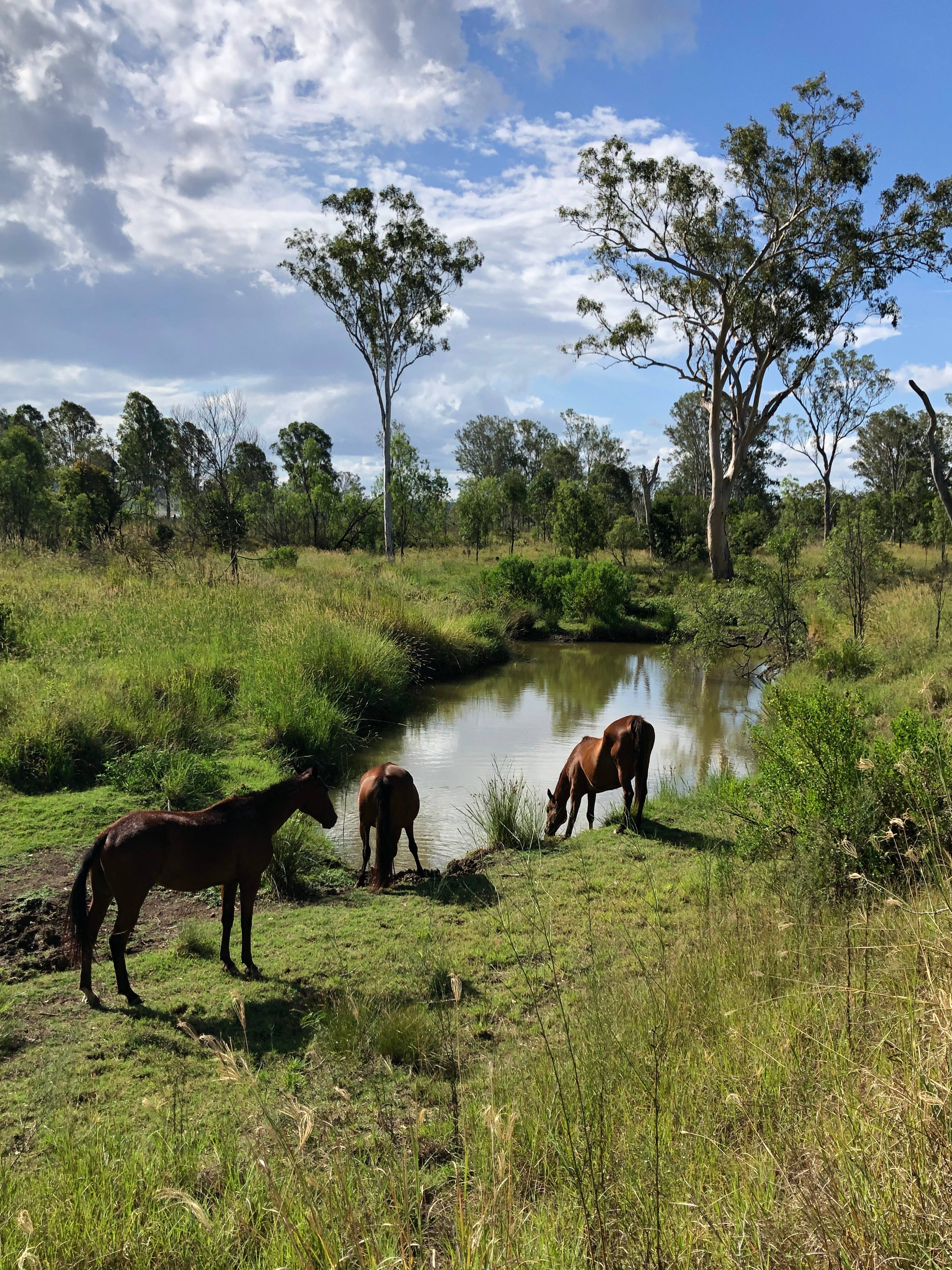 Jack's Place Toogoolawah