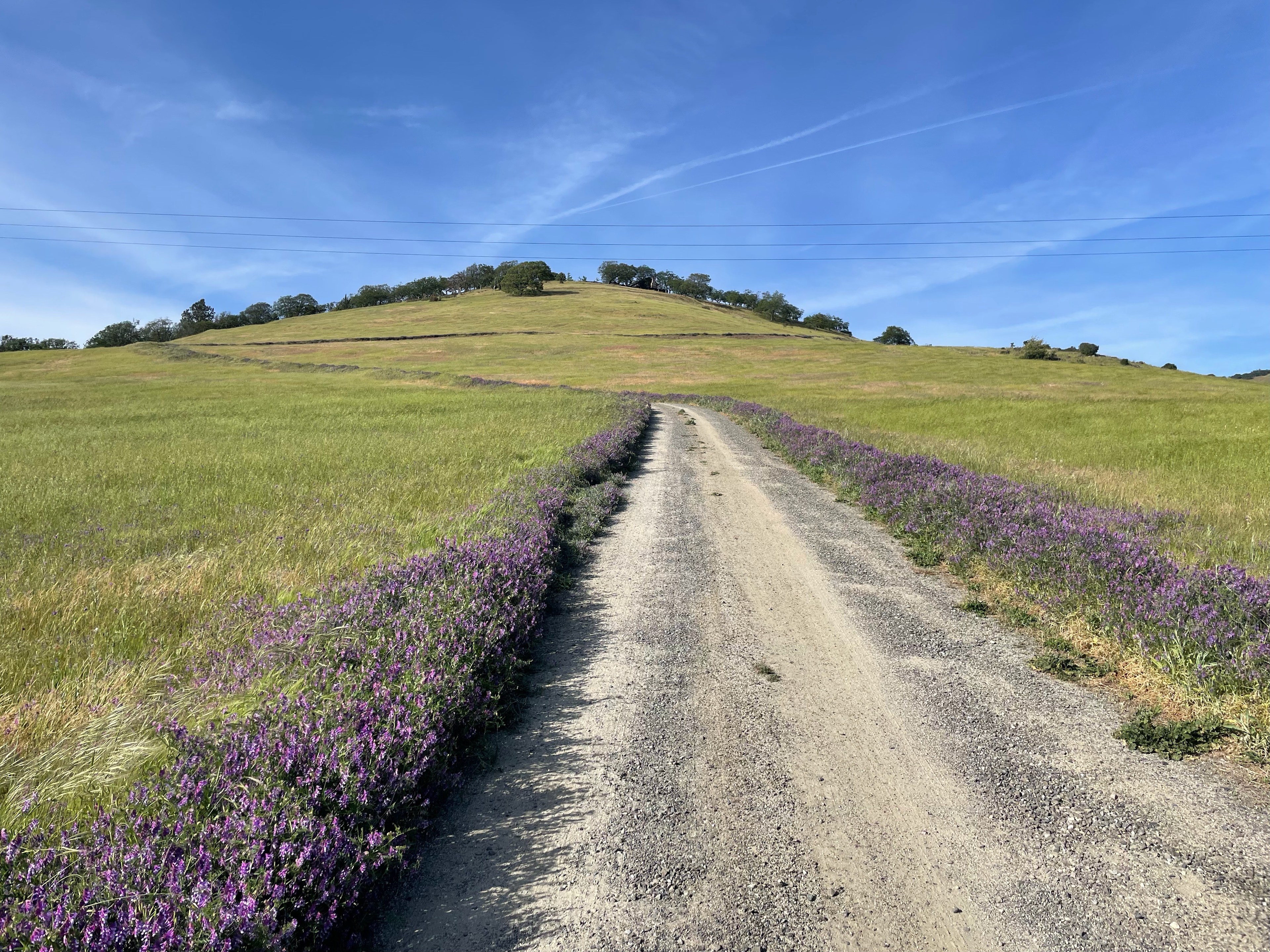 View from the bottom of the hill where you will drive in