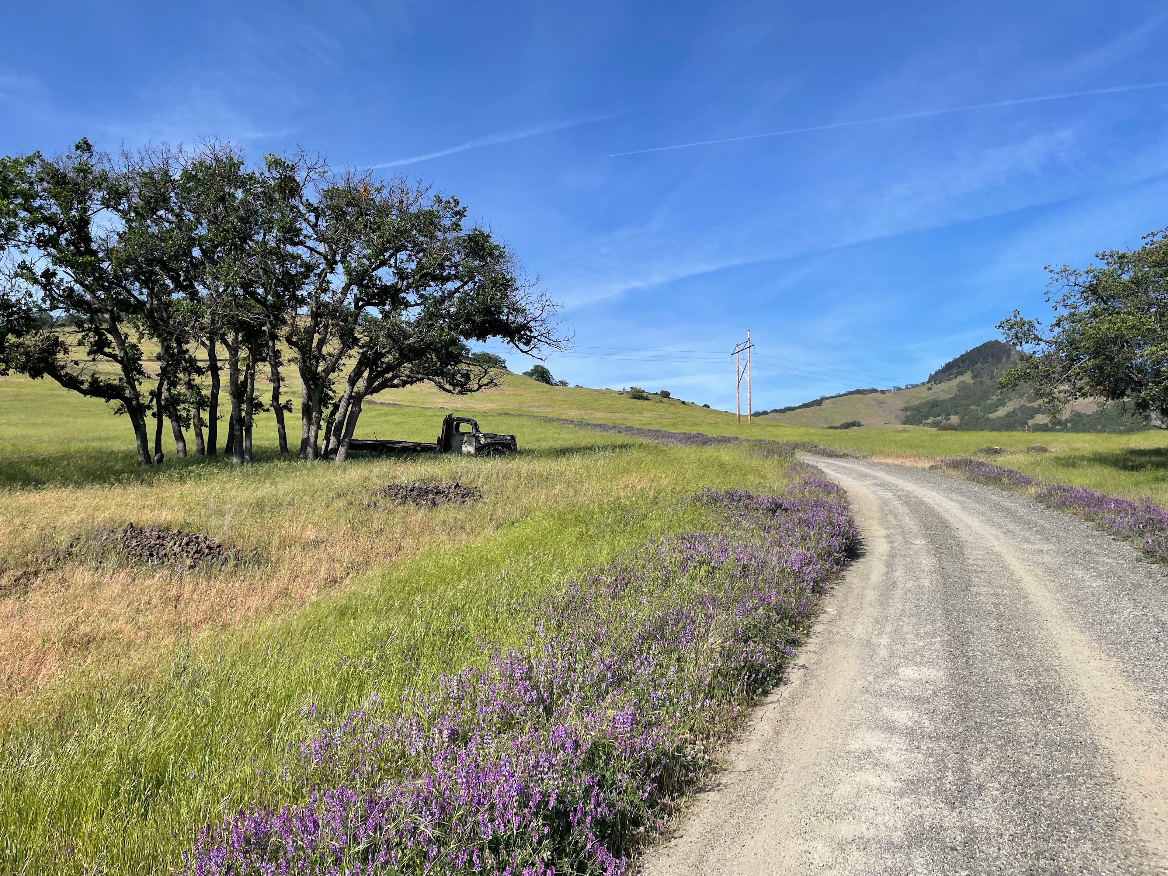 Honeycomb Hill