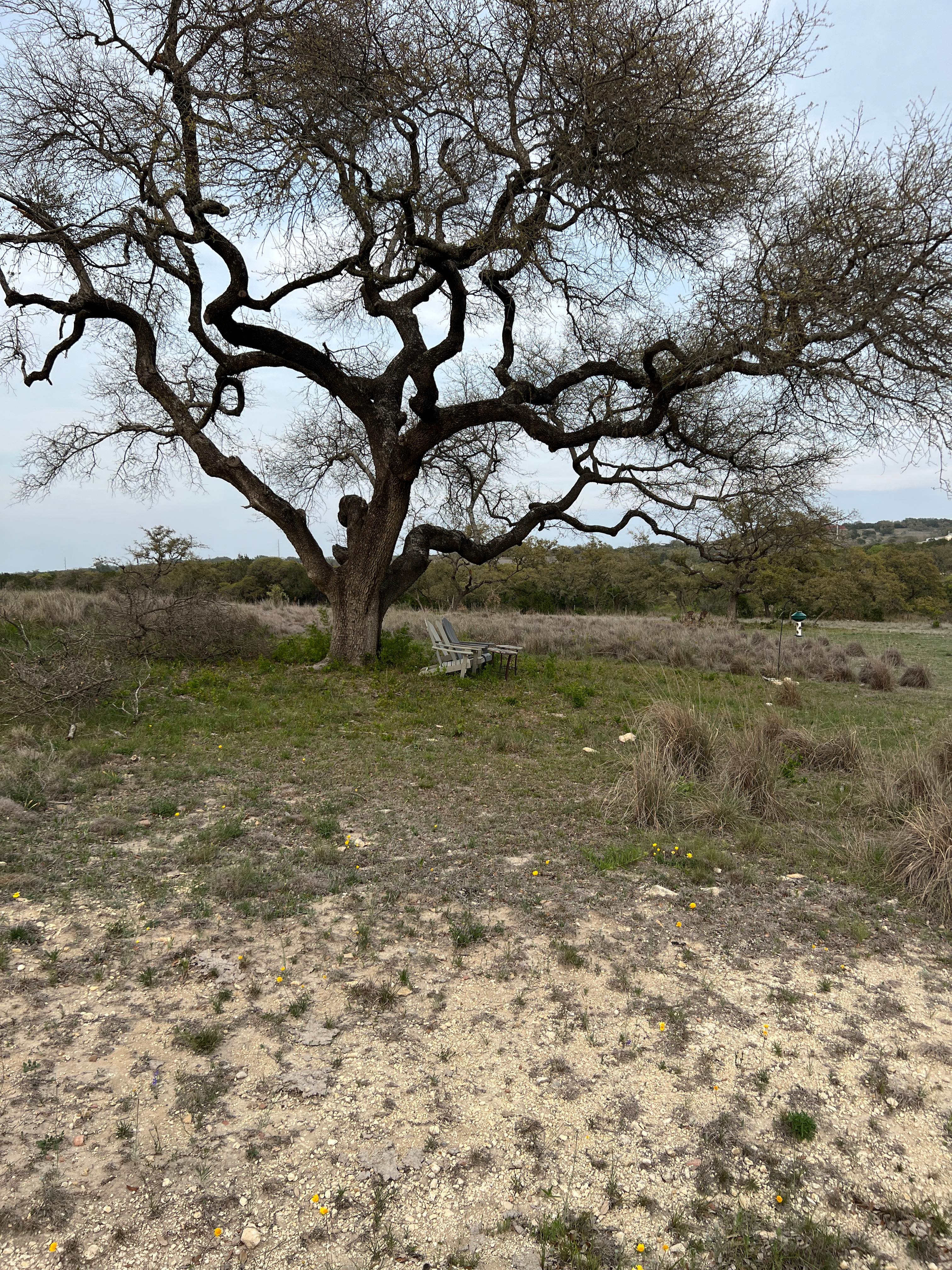 Whispering Oak Ranch