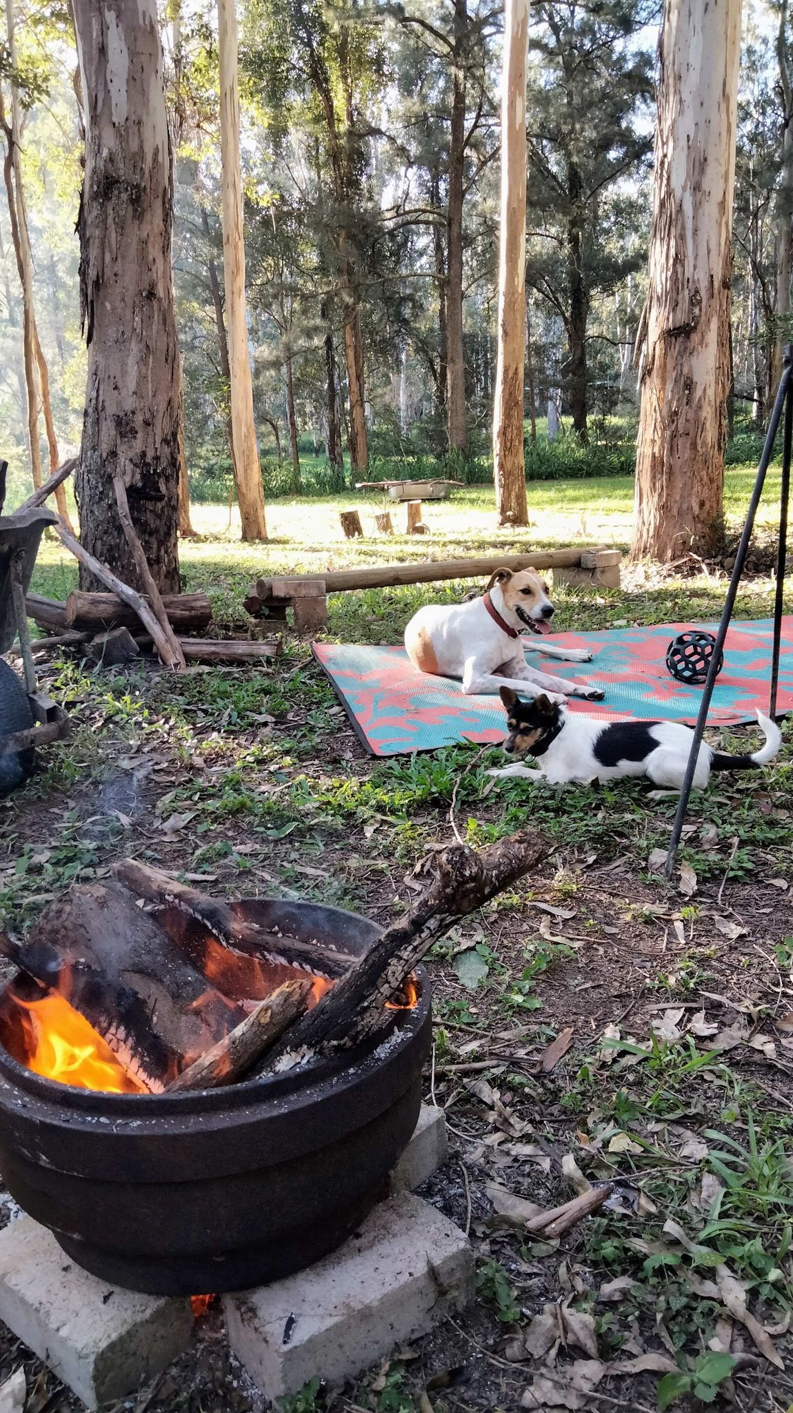 Ginya Mija Wamban (Camp I Built)