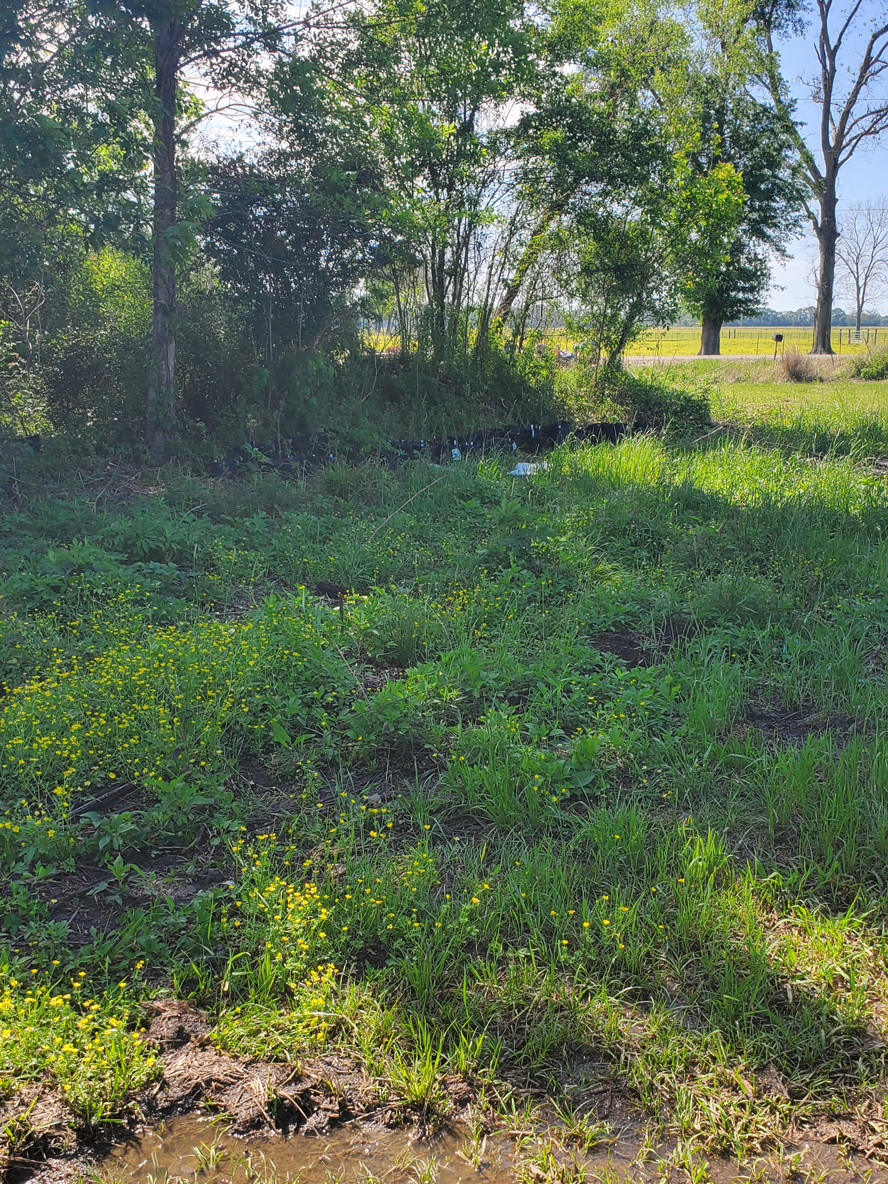 The Sanctuary Project