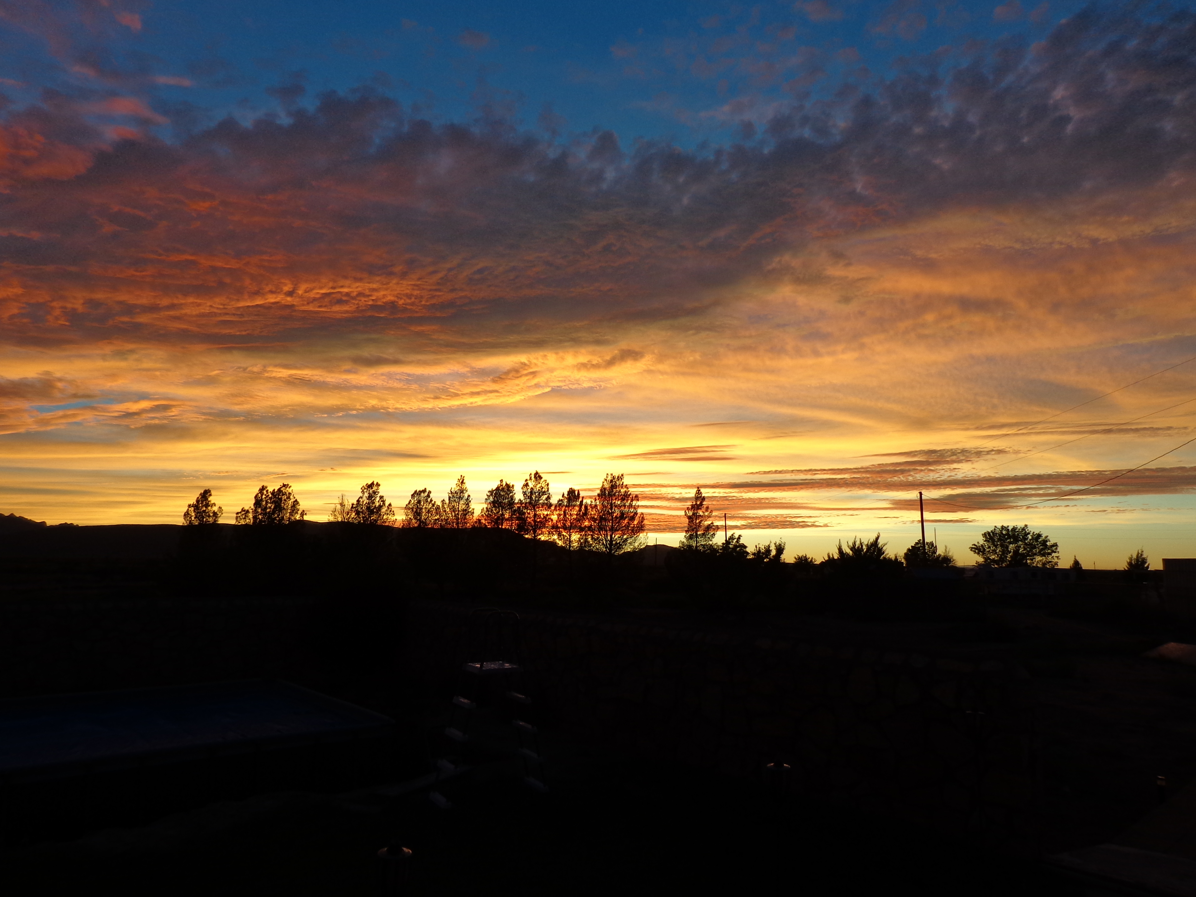 One Particular Harbour