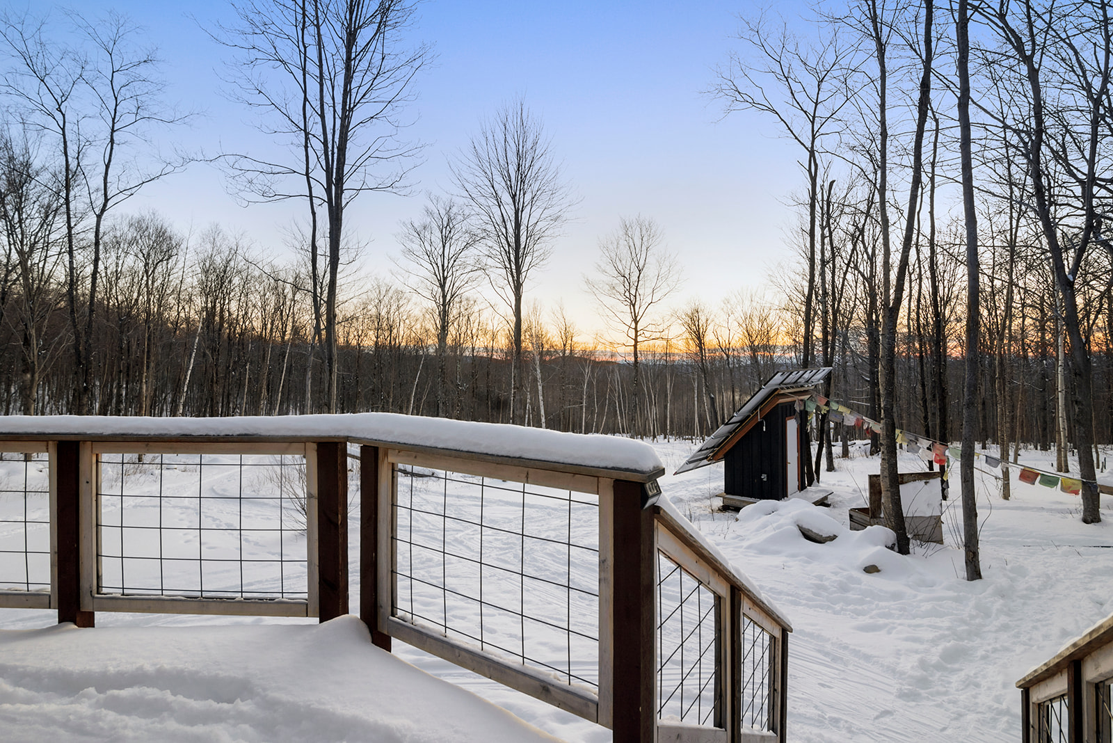 Solar panels and good vibes power Dark Star Cabin.