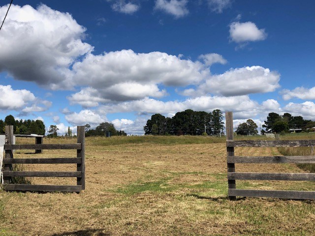 Plain paddock