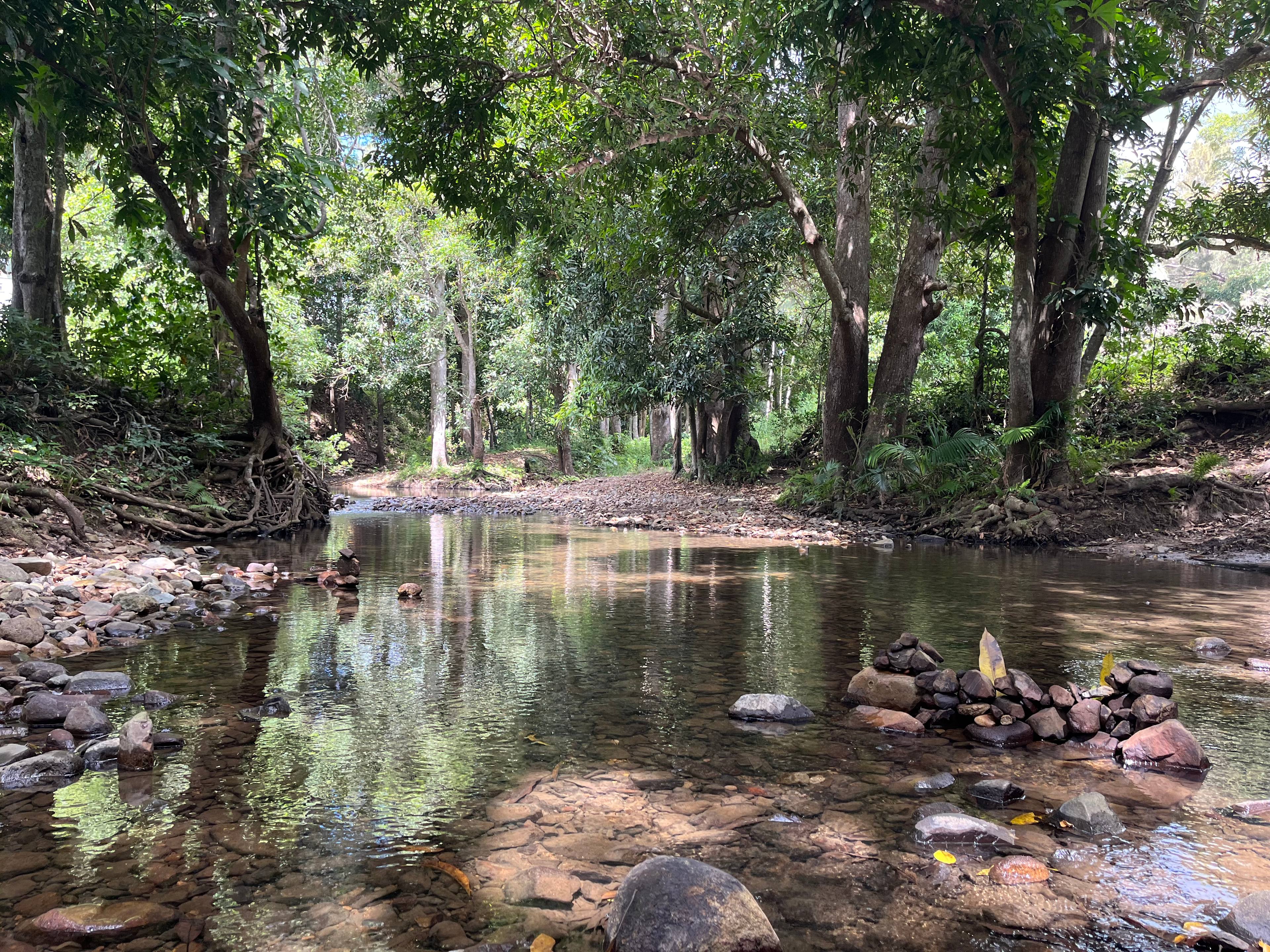 Cattle Camp, Sarina, QLD