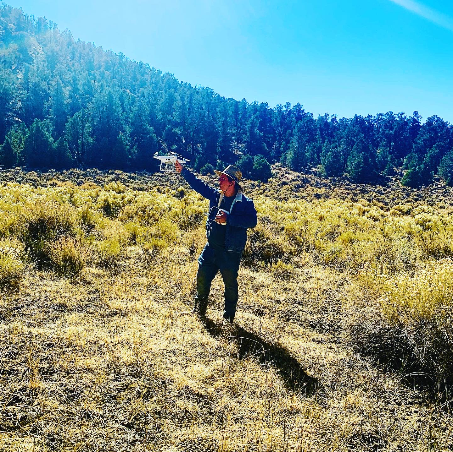 Sacatar Meadow