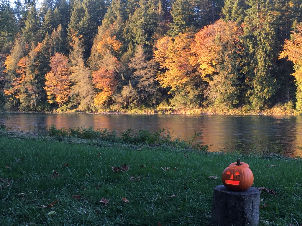 Eden East Skagit River
