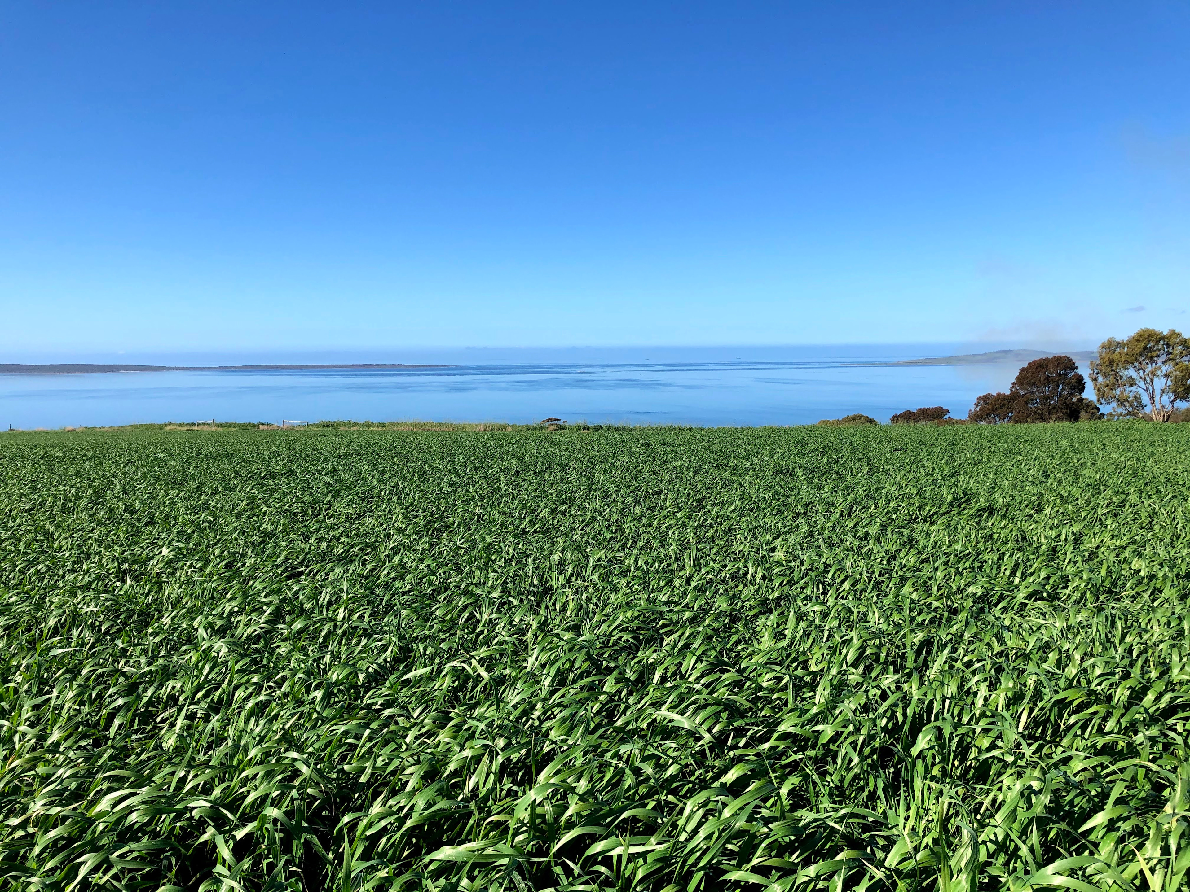 Tiatukia Farm Campsite by the Sea