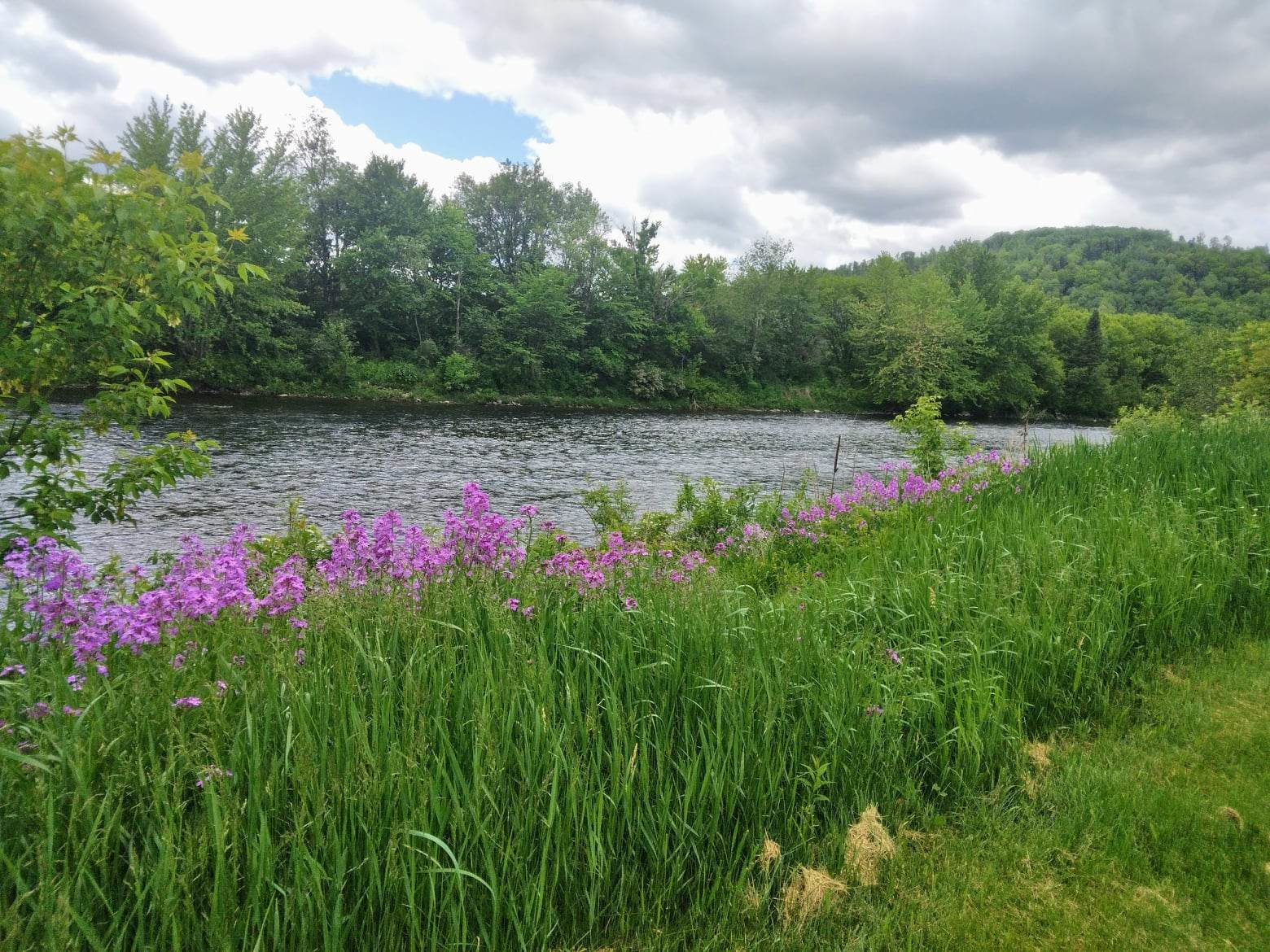 Champion Meadow Campground