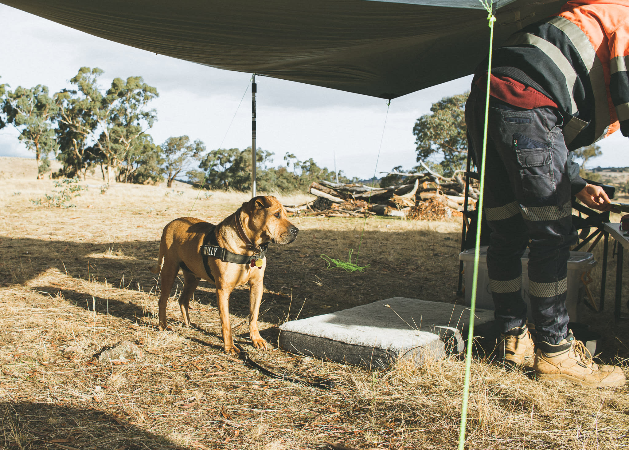 Daylesford Hepburn Farm Camping