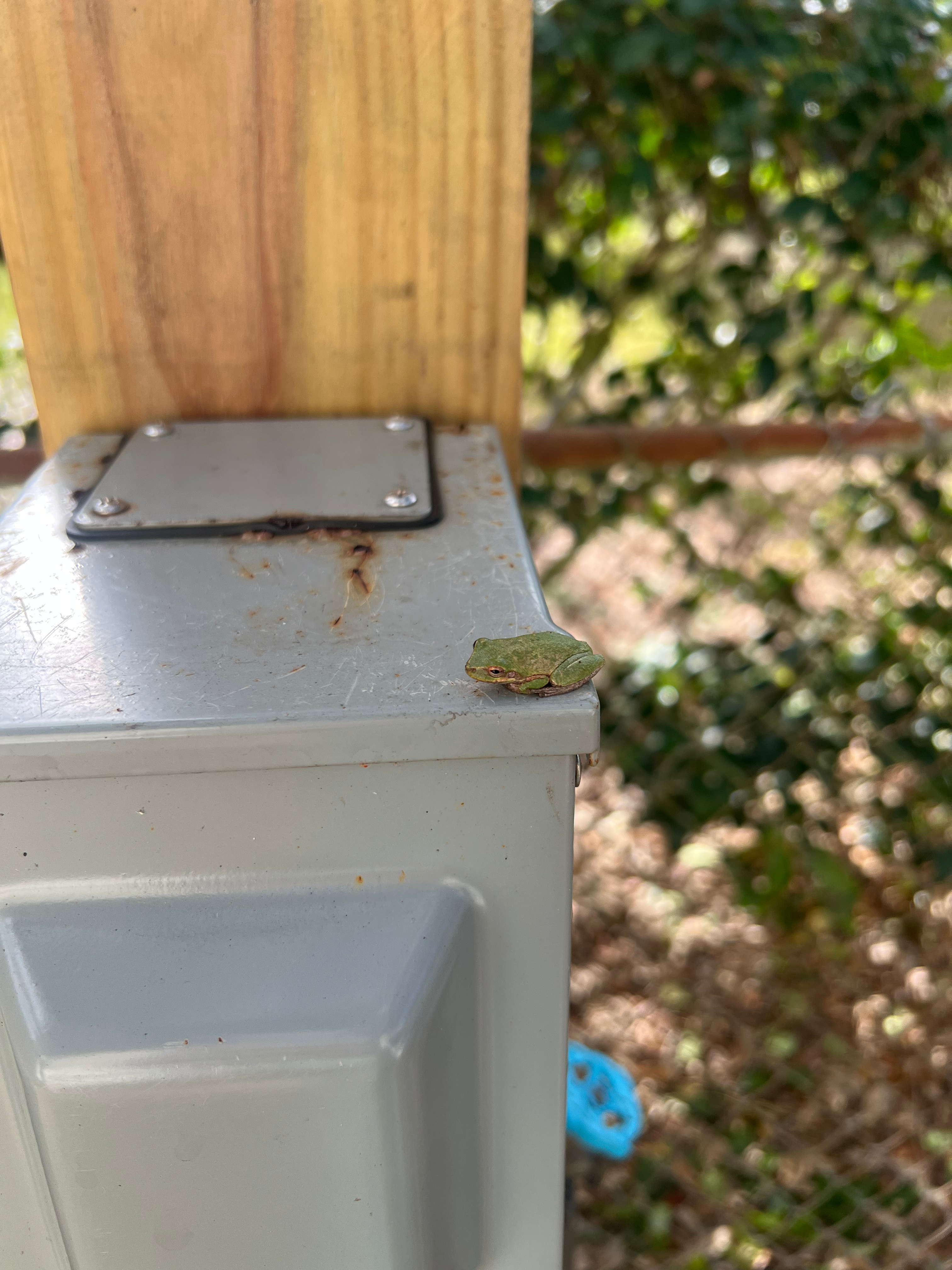 M & A’s Sweet Retreat