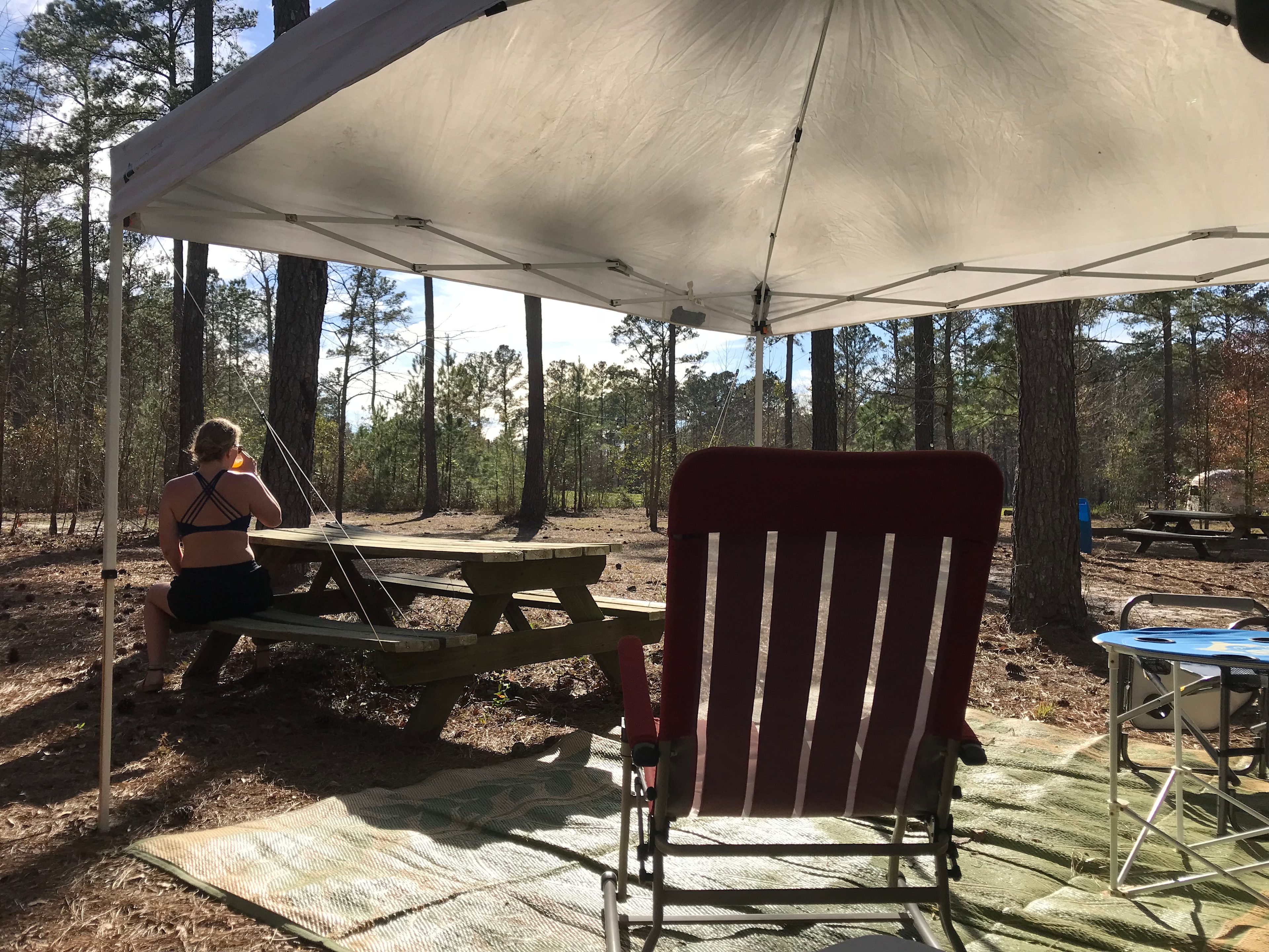 Charlotte's Whispering Pine Farm