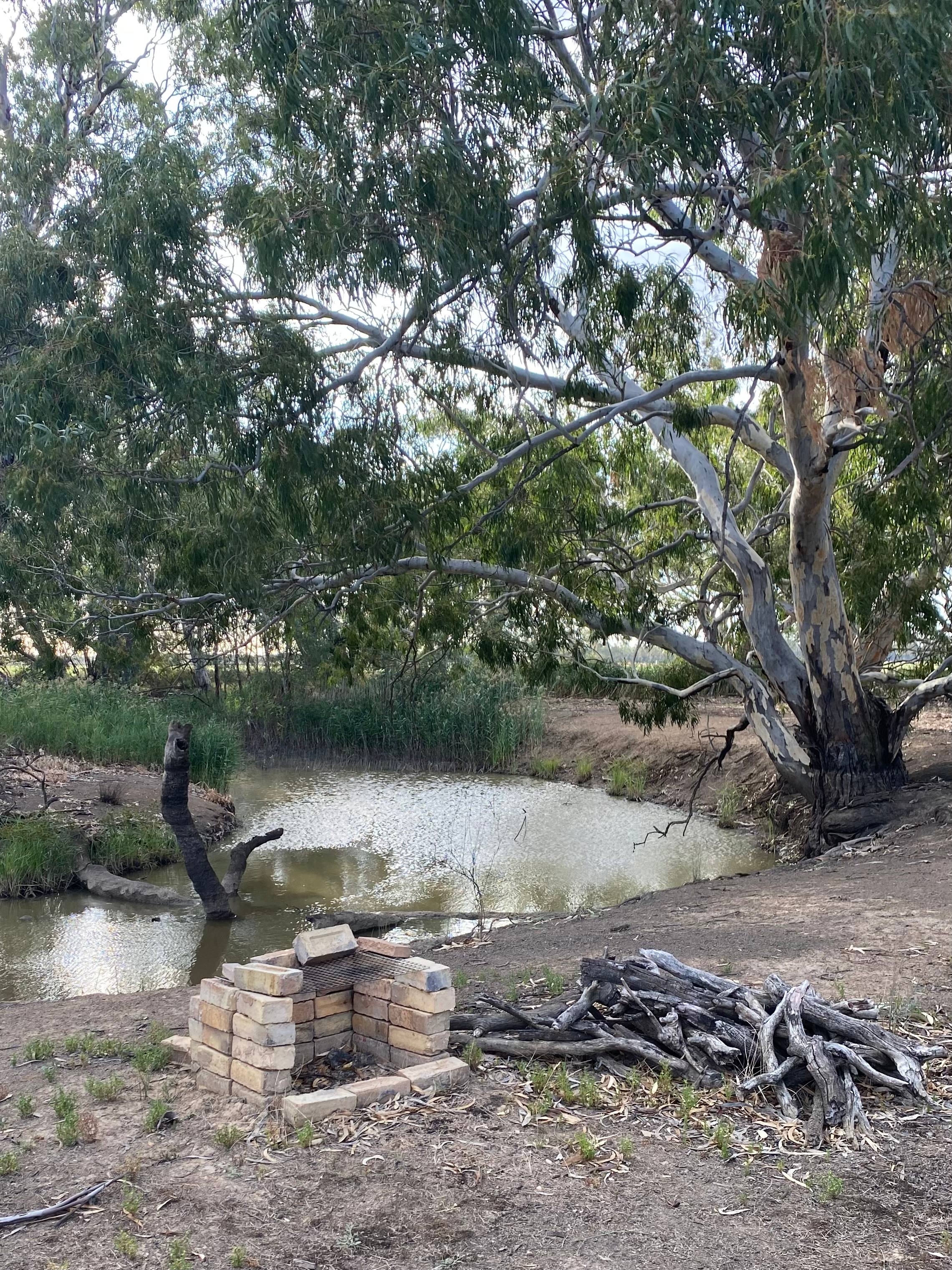 Riverside   Canary Island