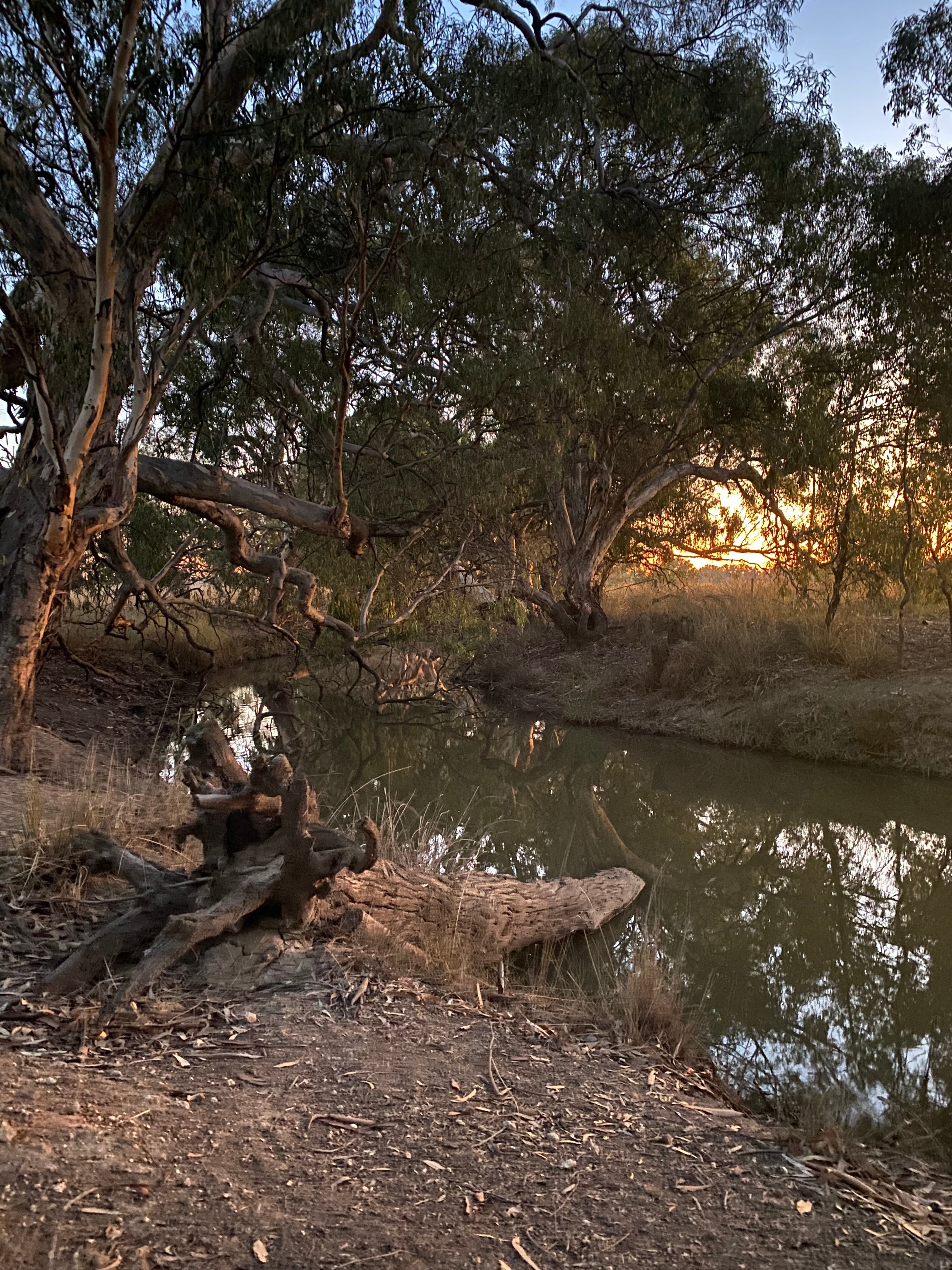 Riverside   Canary Island