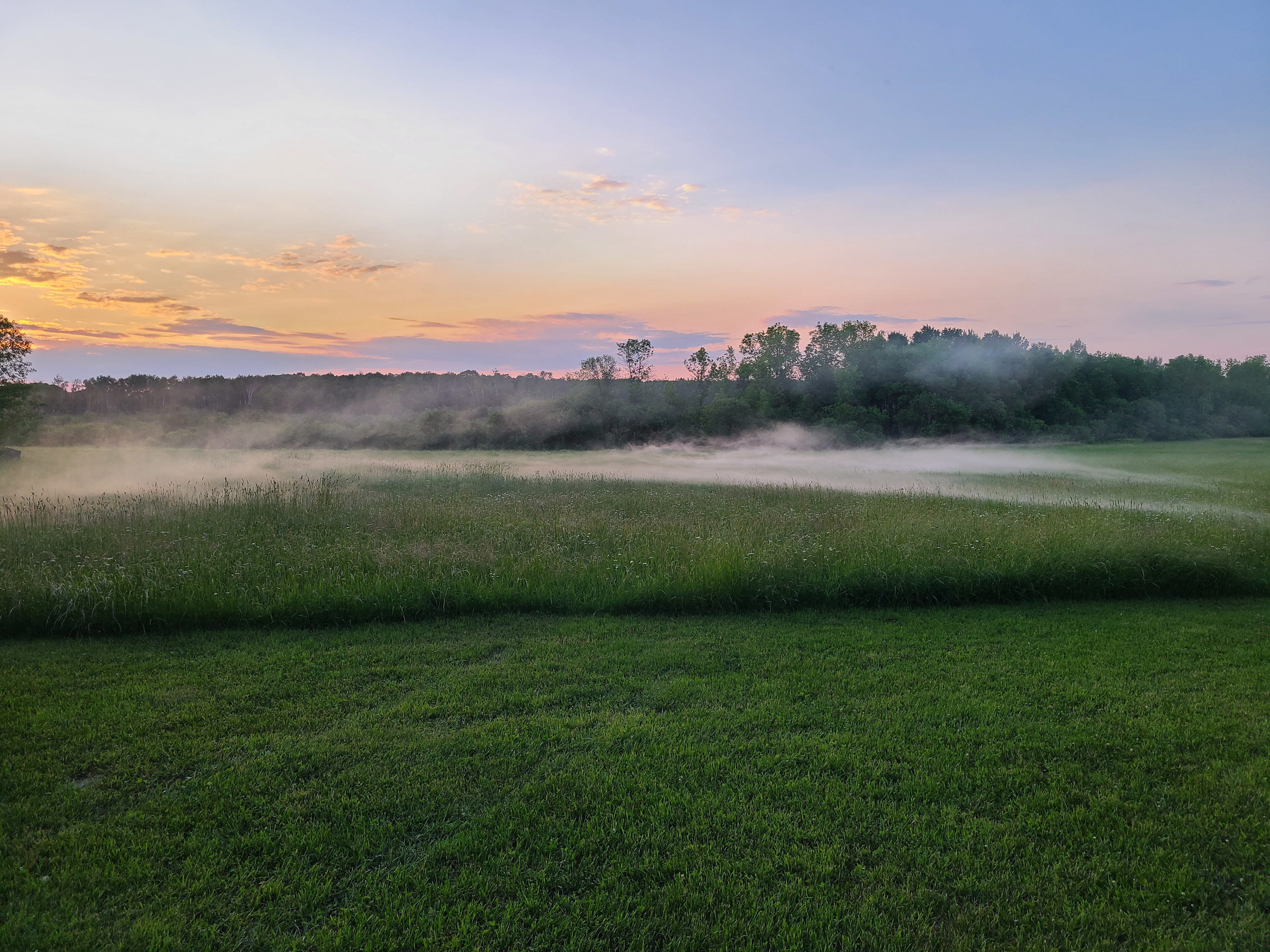 Evening view overlooking the meadow.