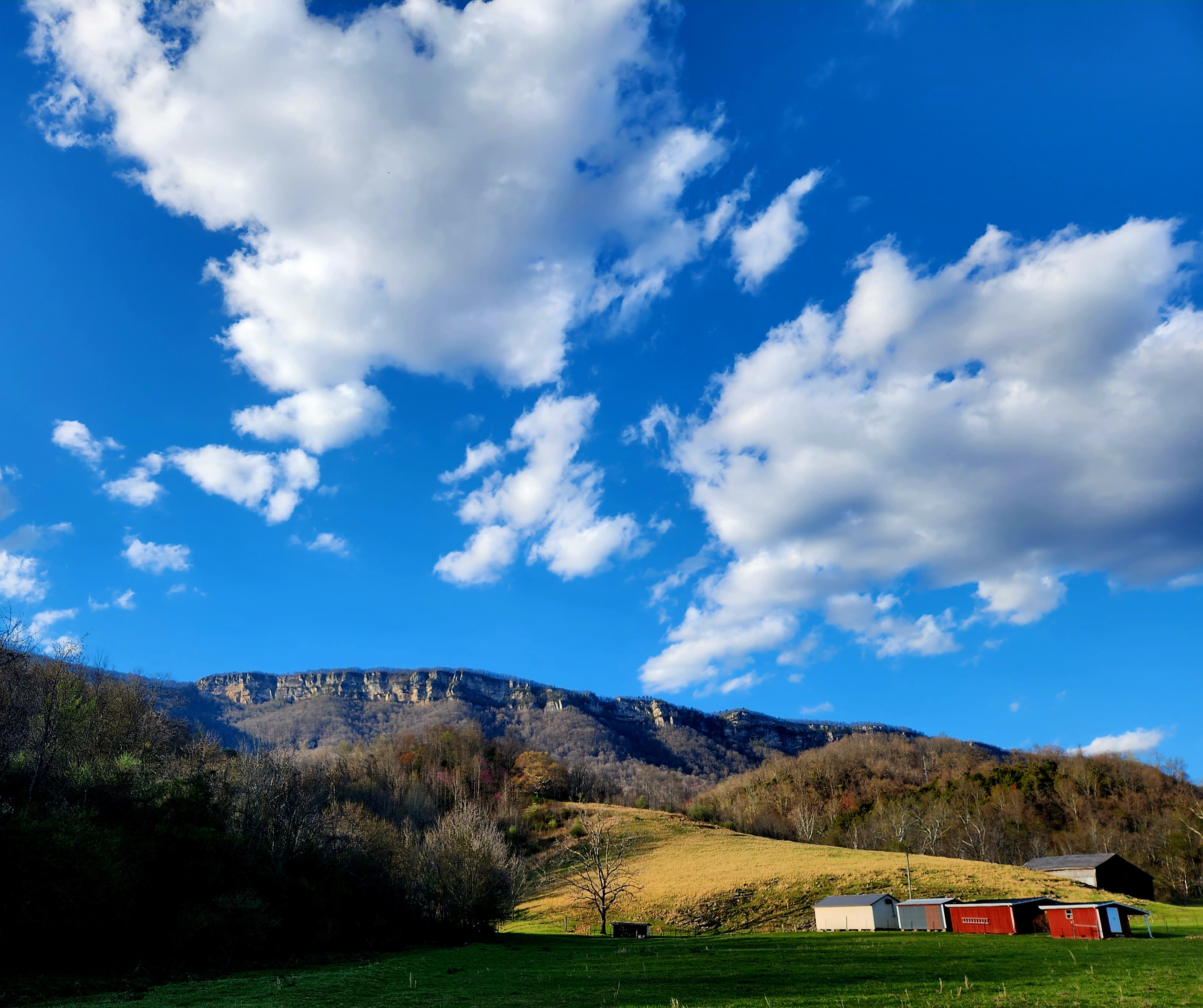 View of White Rocks from site
