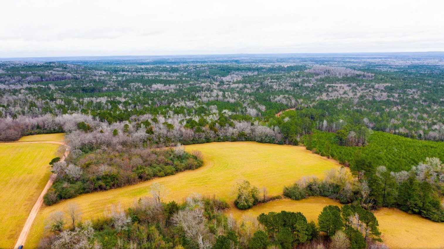 Remote, Peaceful Camp- Boones' Farm