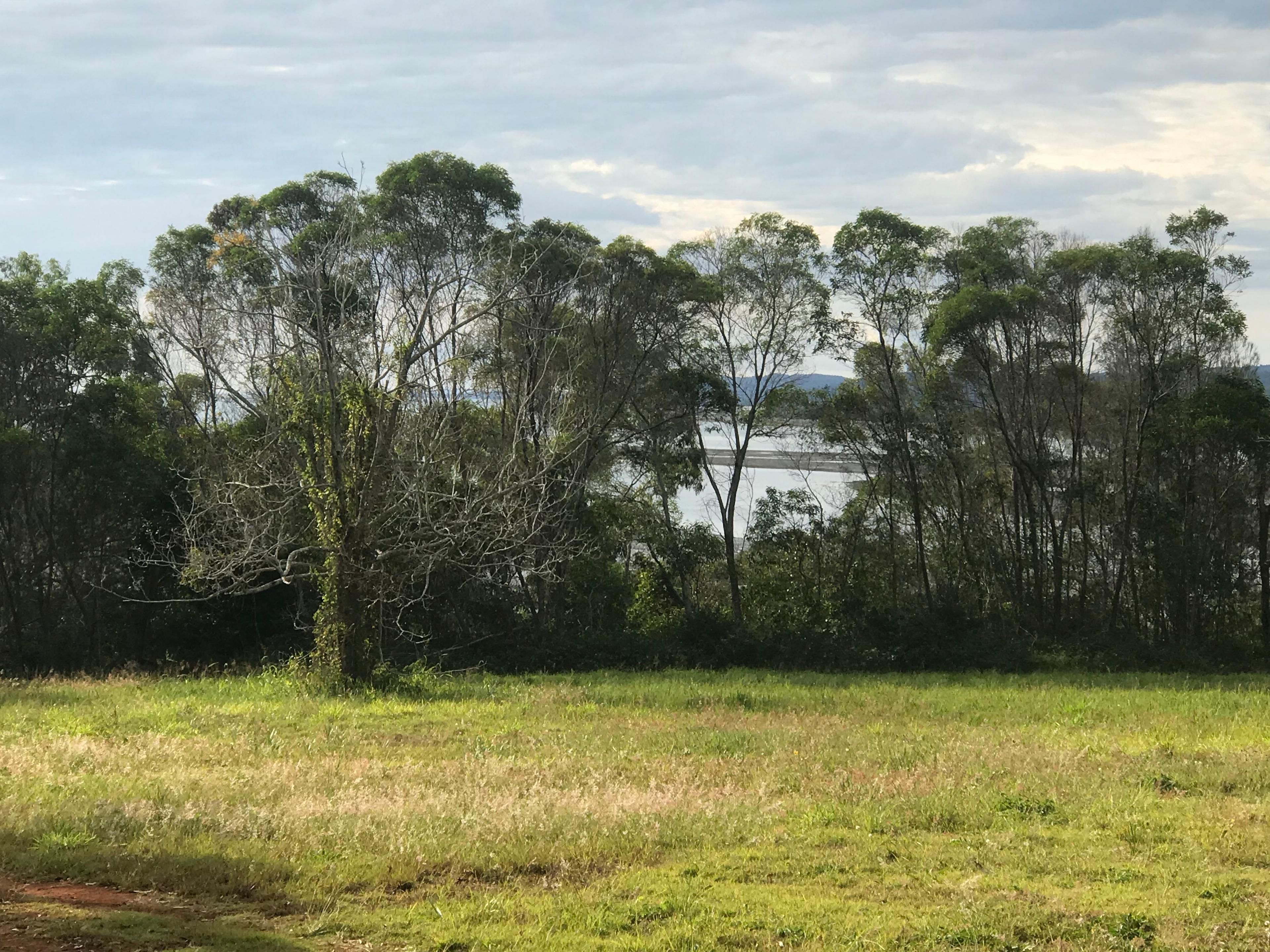 The Big Mango Russell Island