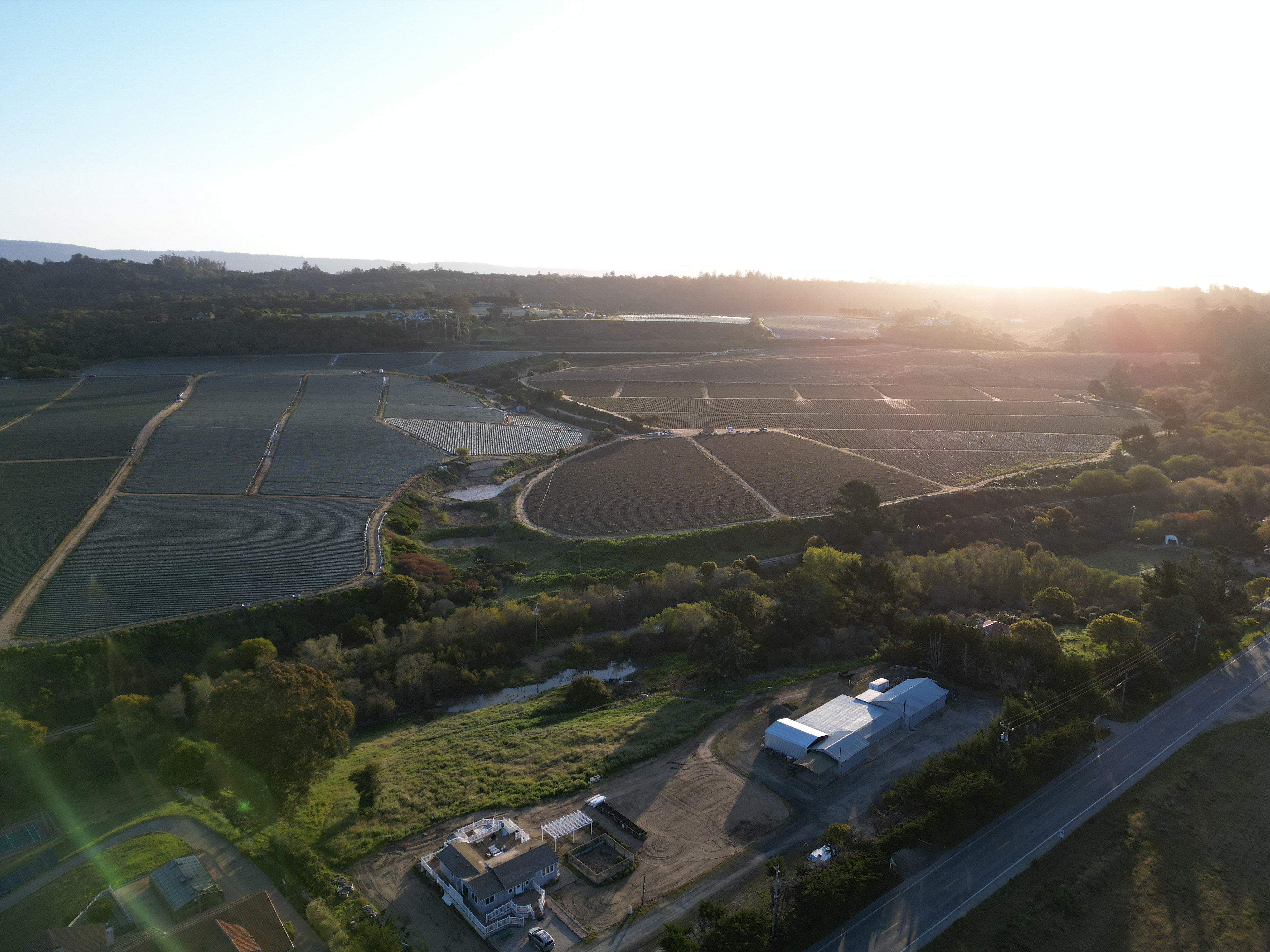 Strawberry Fields+Walk to the Beach