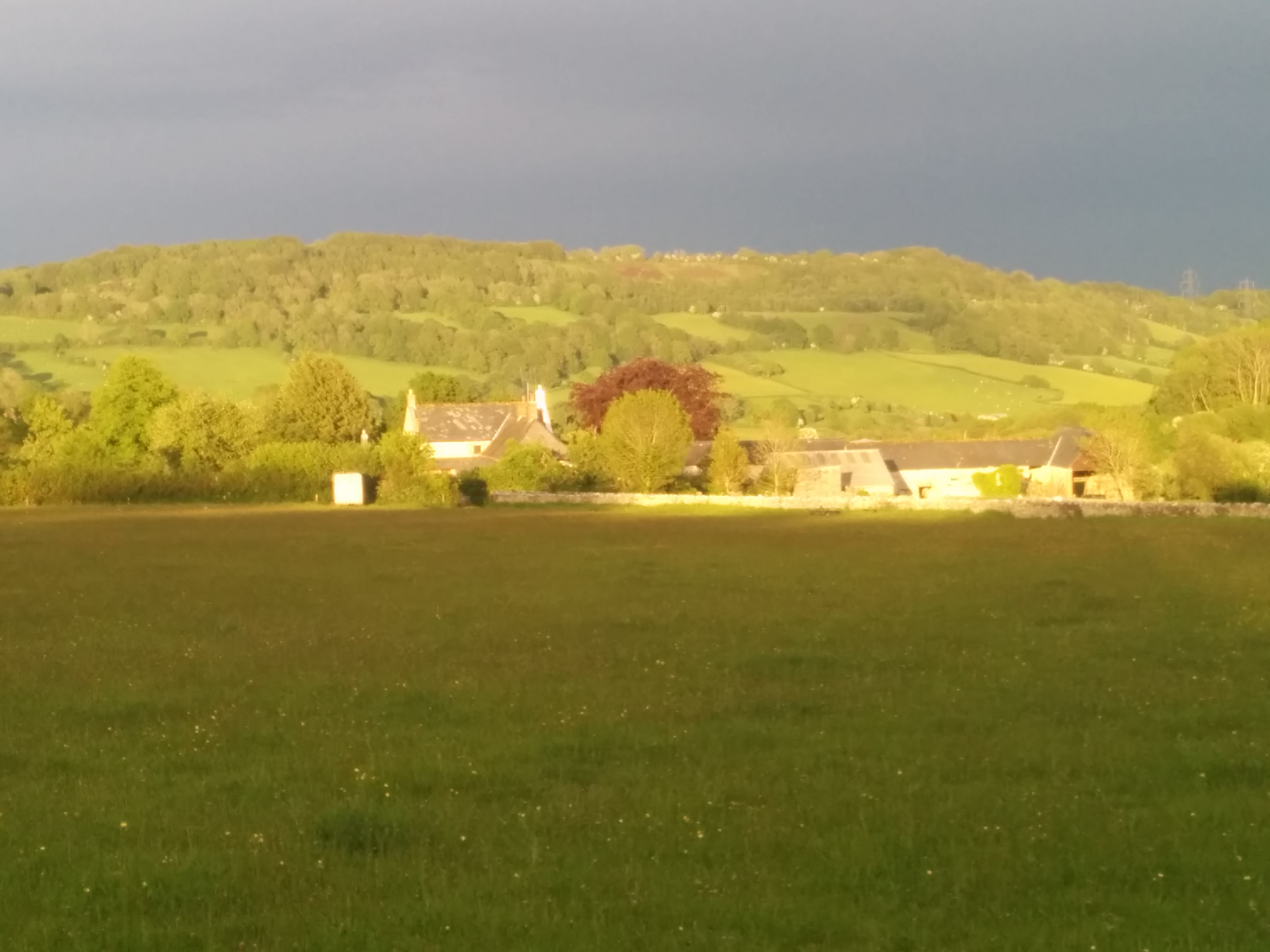 Goren Farm