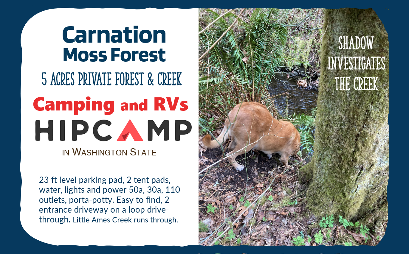 Carnation Moss Forest