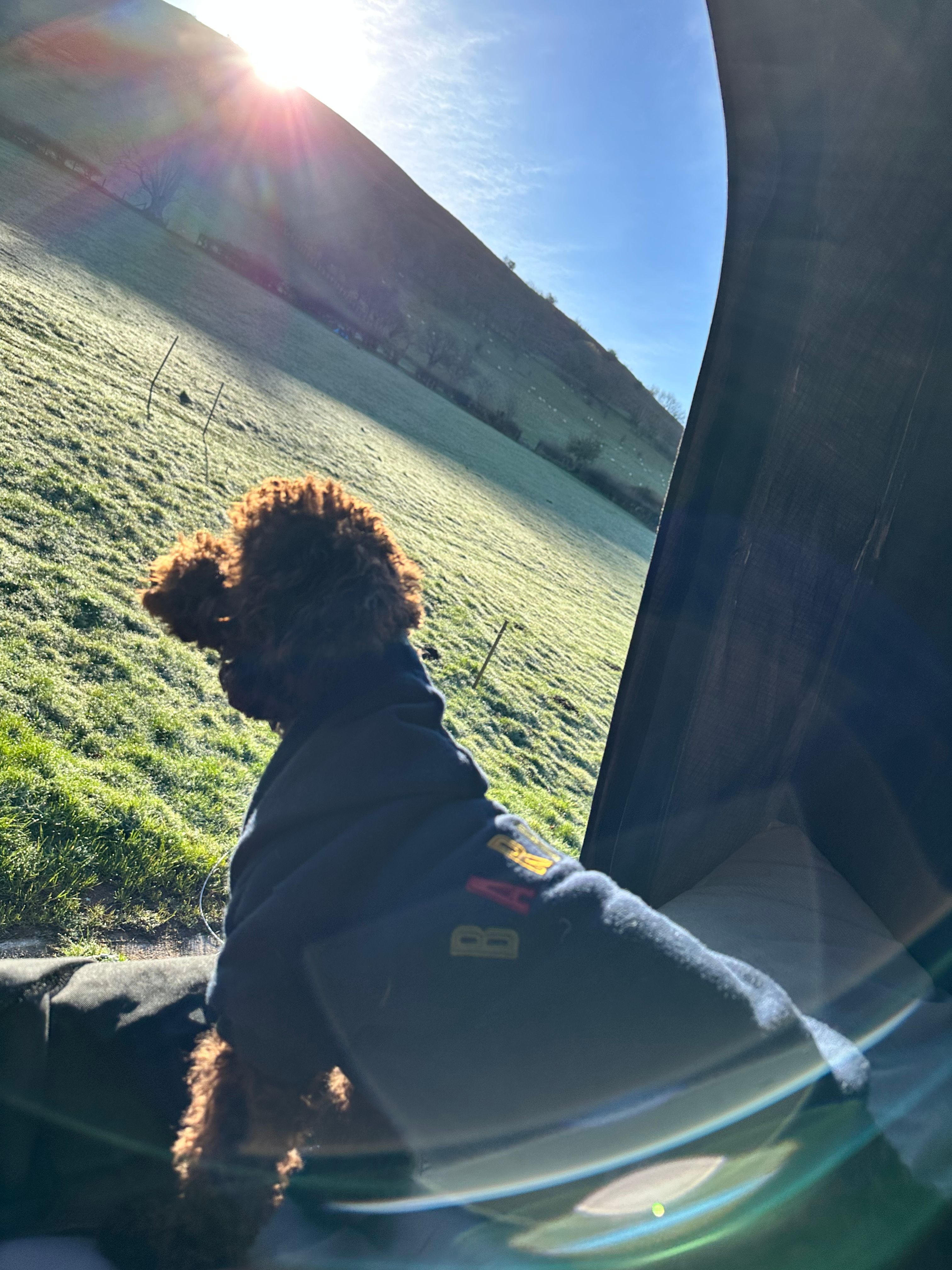 Cwmffrwd Farm Campsite