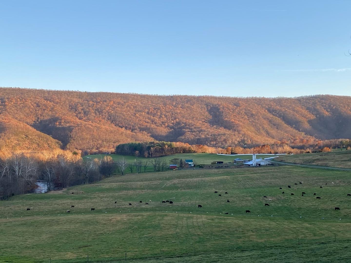 View on the way to our place