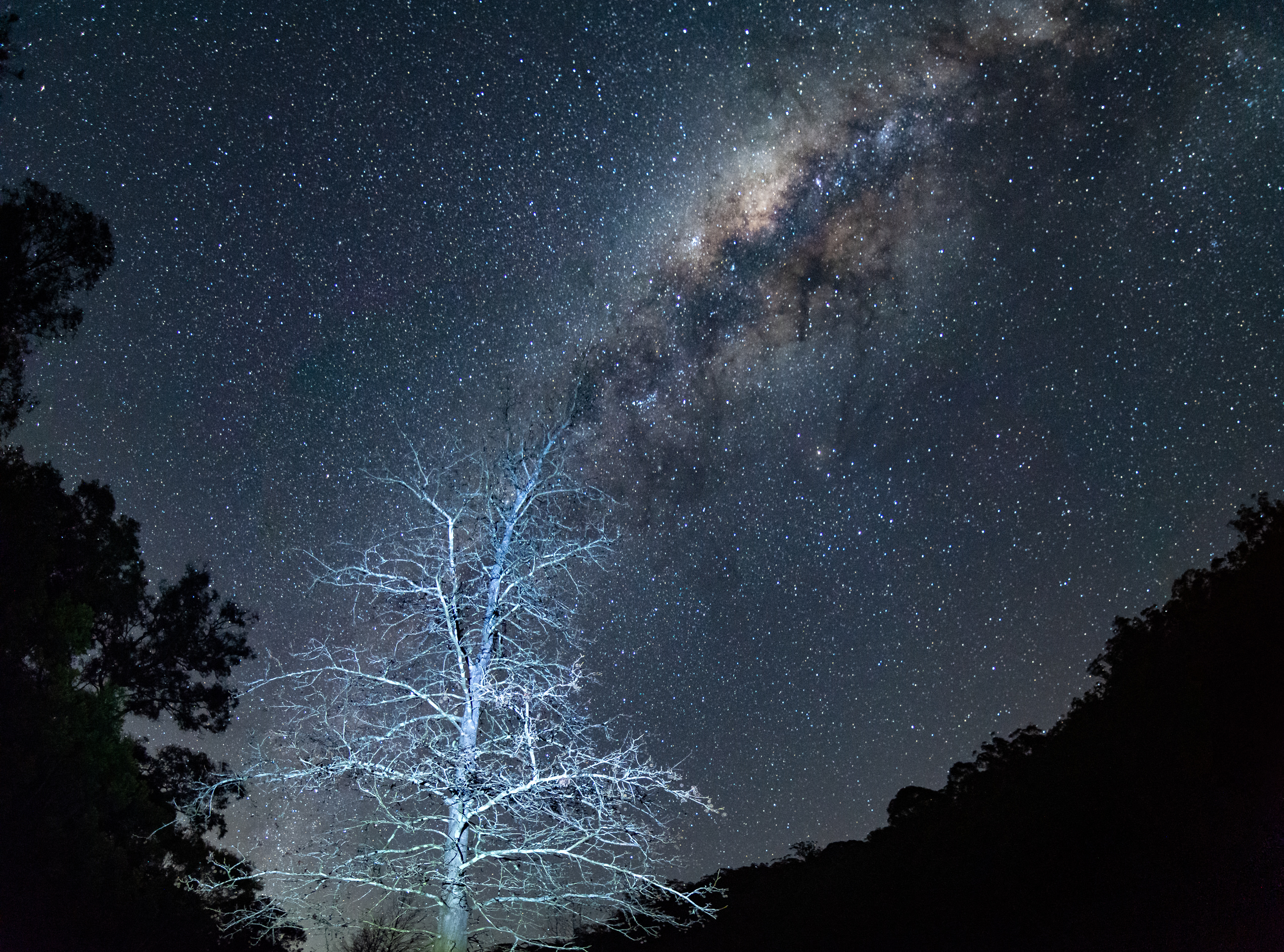 Willow's Retreat Nature Escape