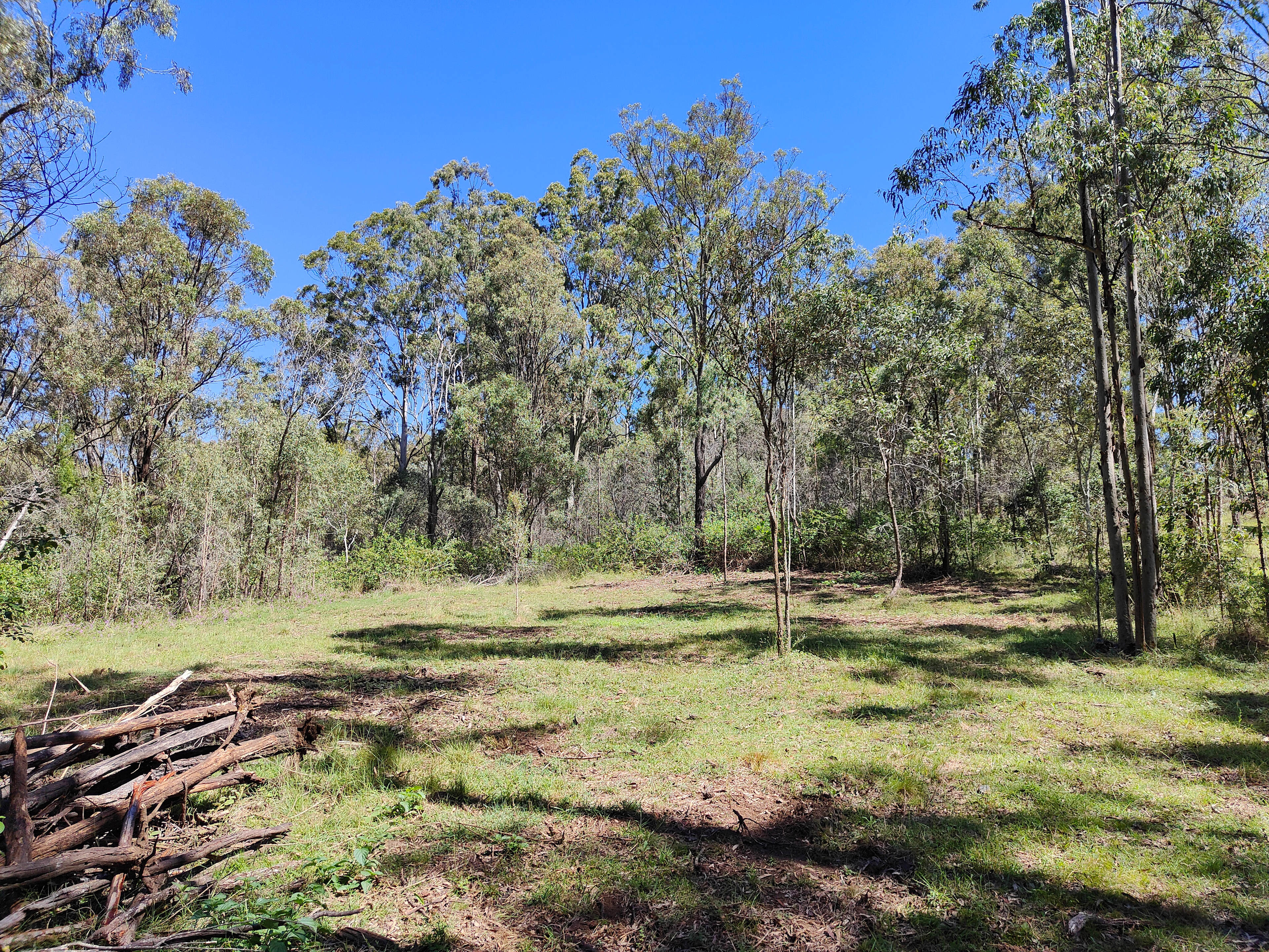 Hunter Downs