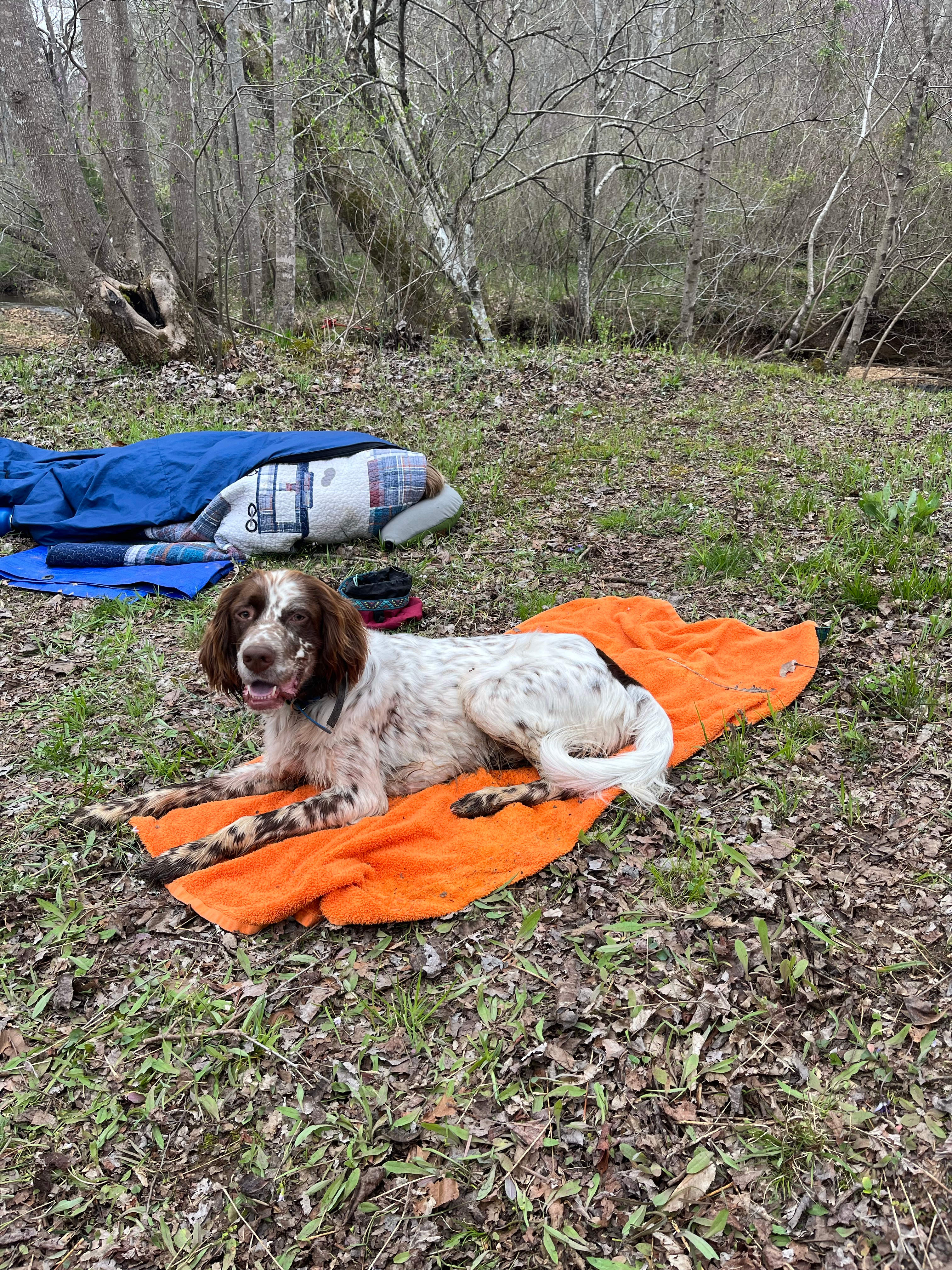 Camp McFender