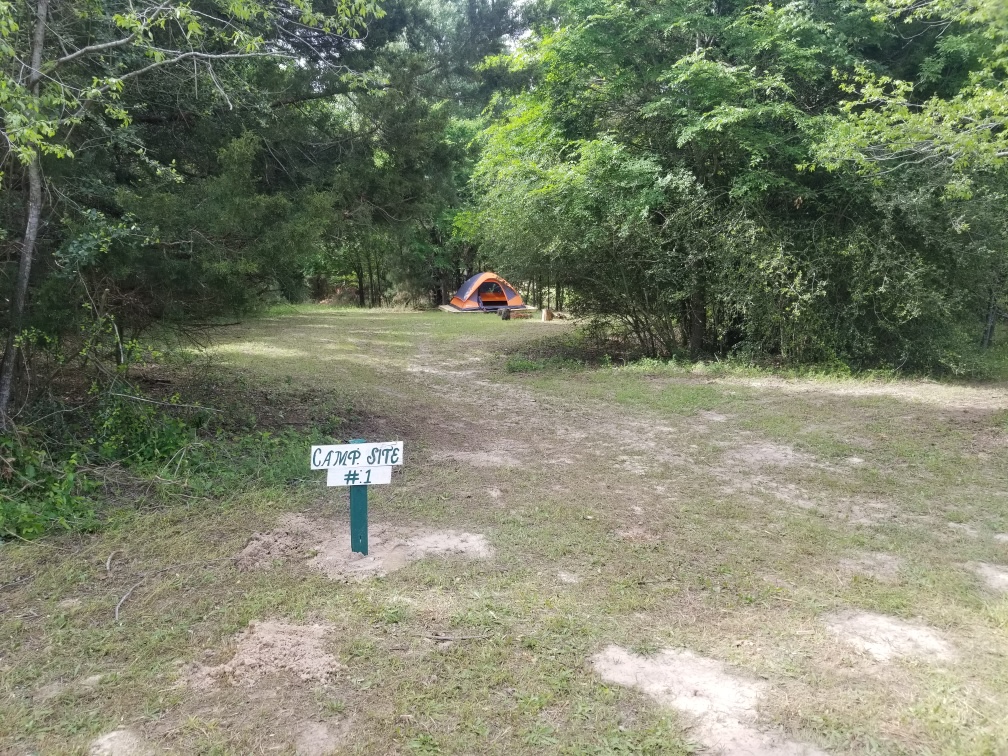 The Fabulous Bok Vegas, Texas