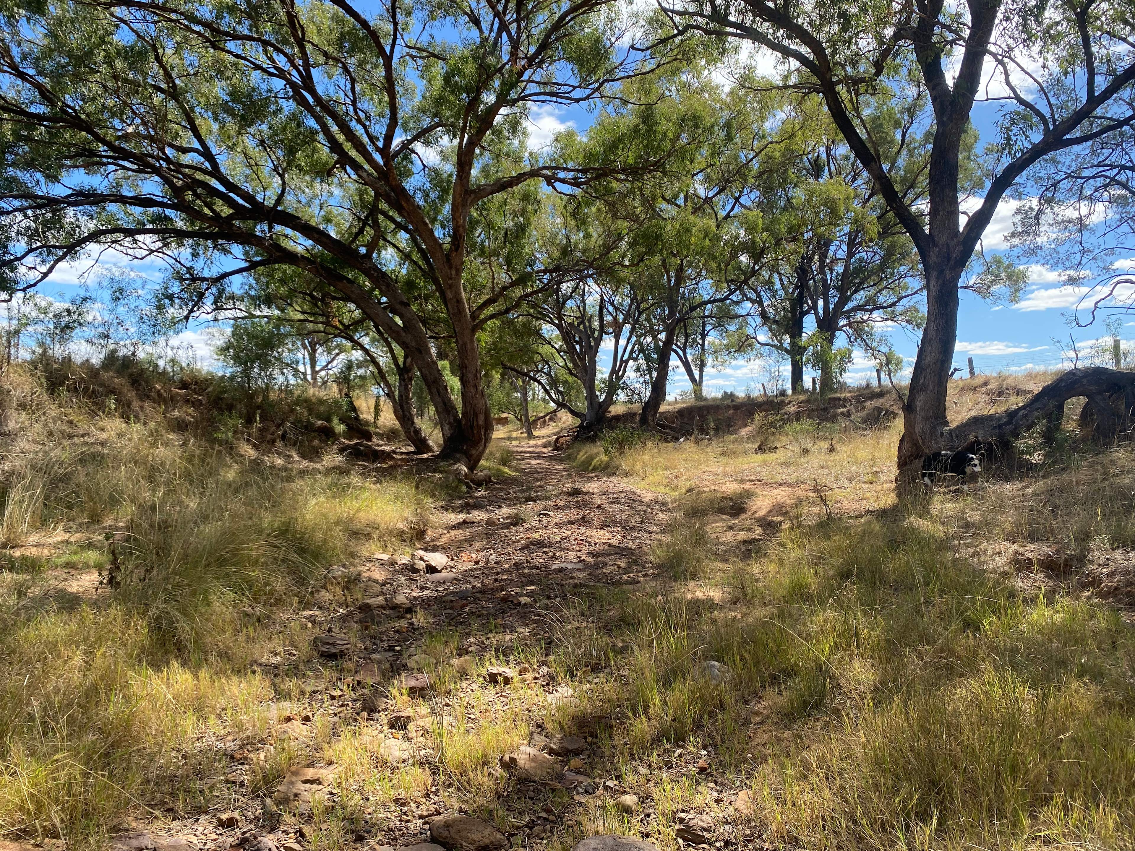 KANGAROO CREEK CAMP DUBBO