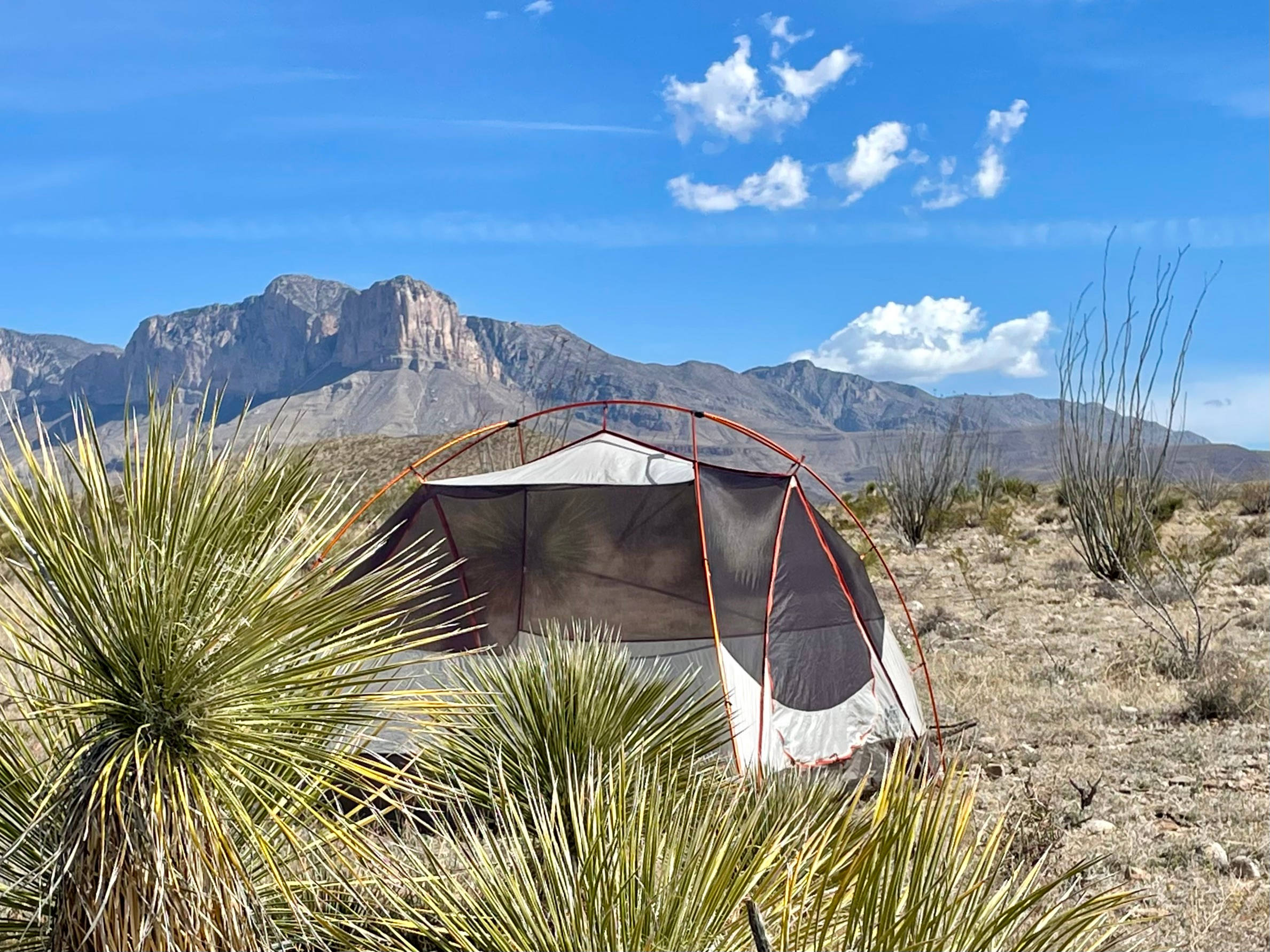 Can't beat that view of the tallest mountain in Texas!