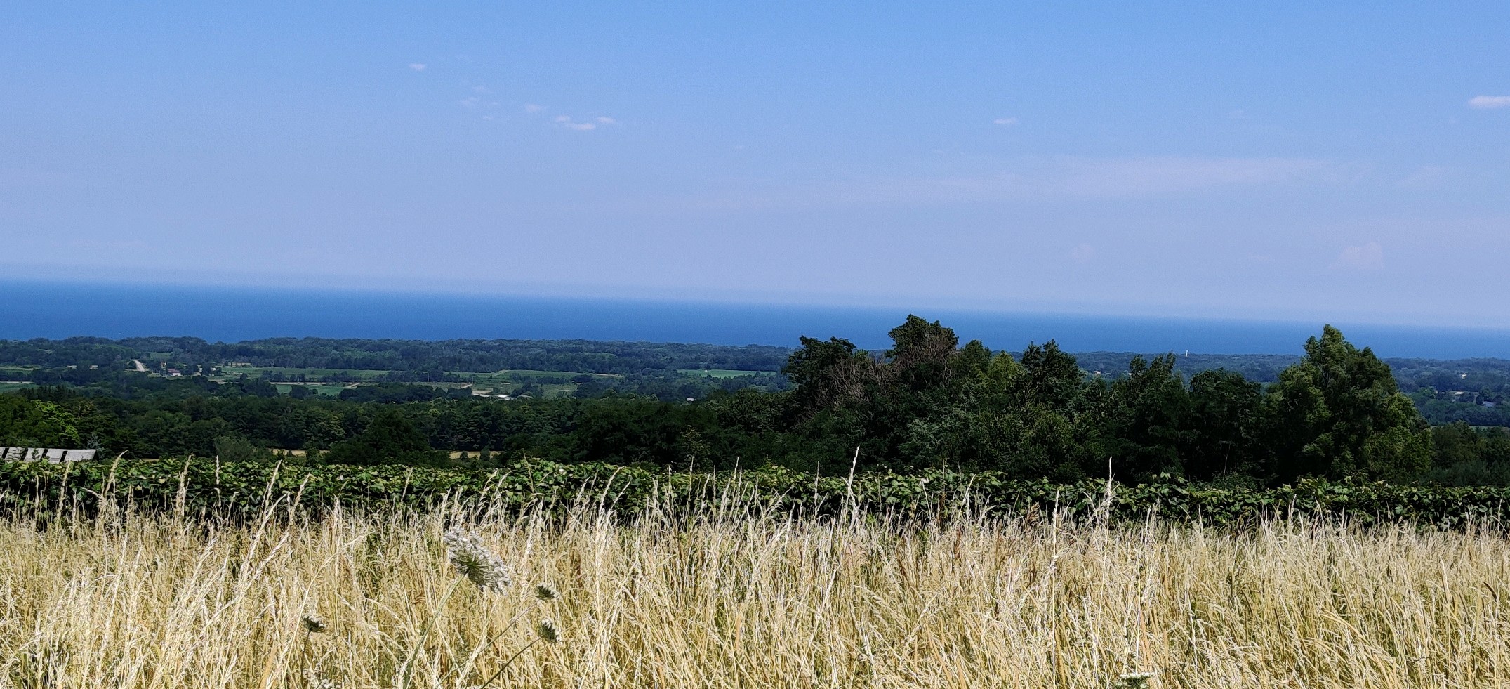 Hardscrabble Nature Preserve