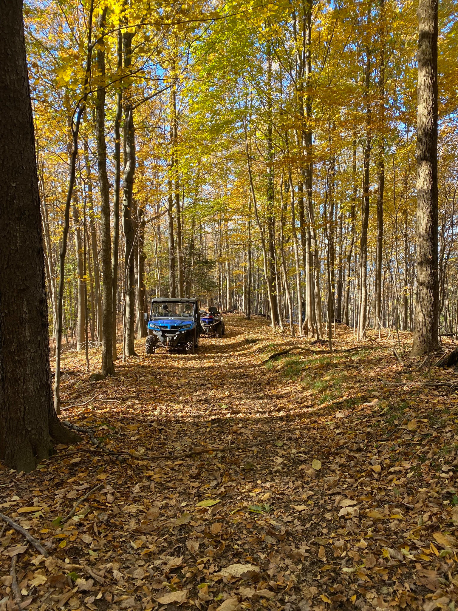 Hardscrabble Nature Preserve