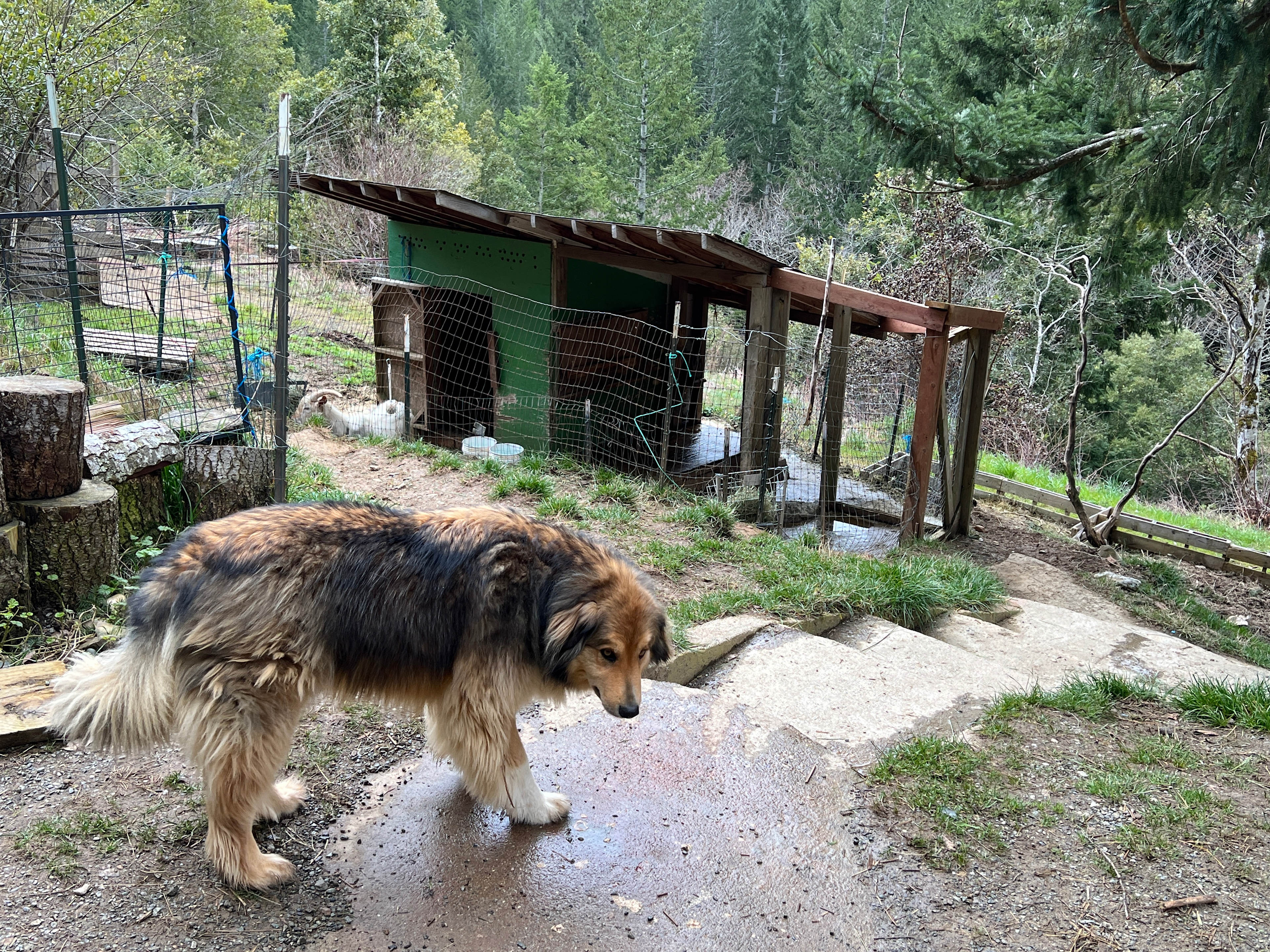 Sustainable Ecovillage