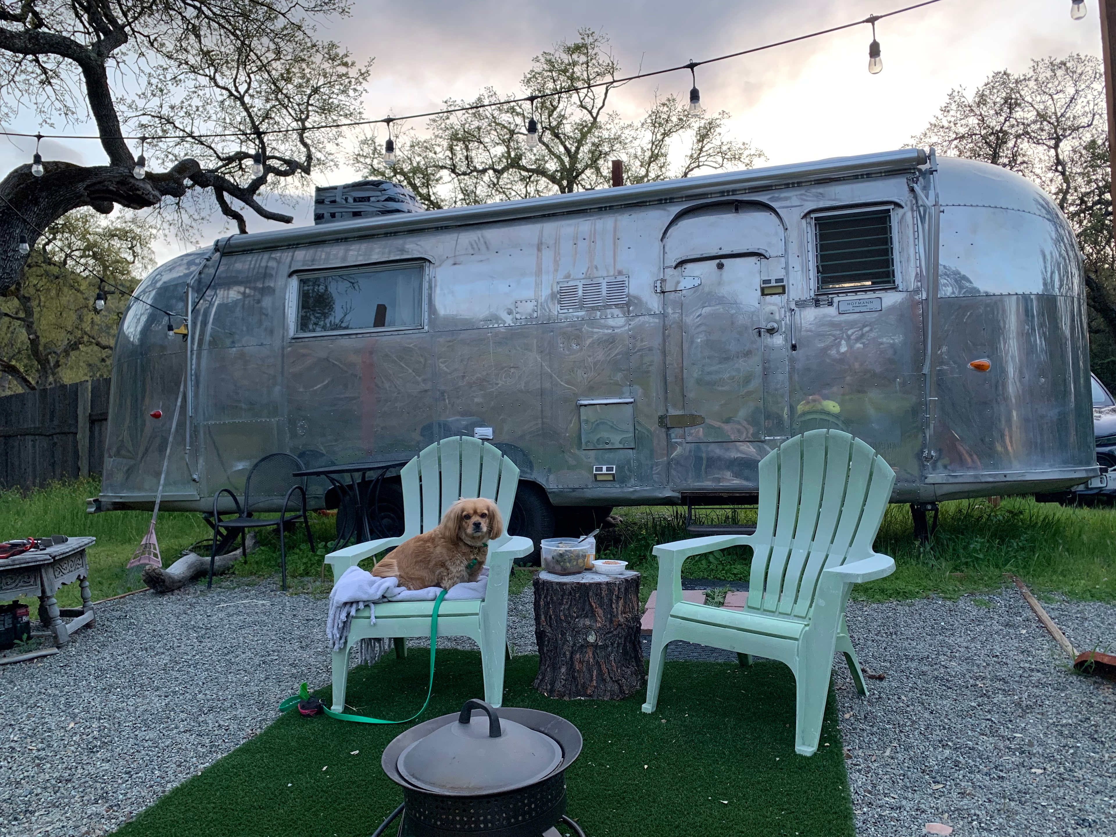 Coyote Mynt Ranch, Paso Robles