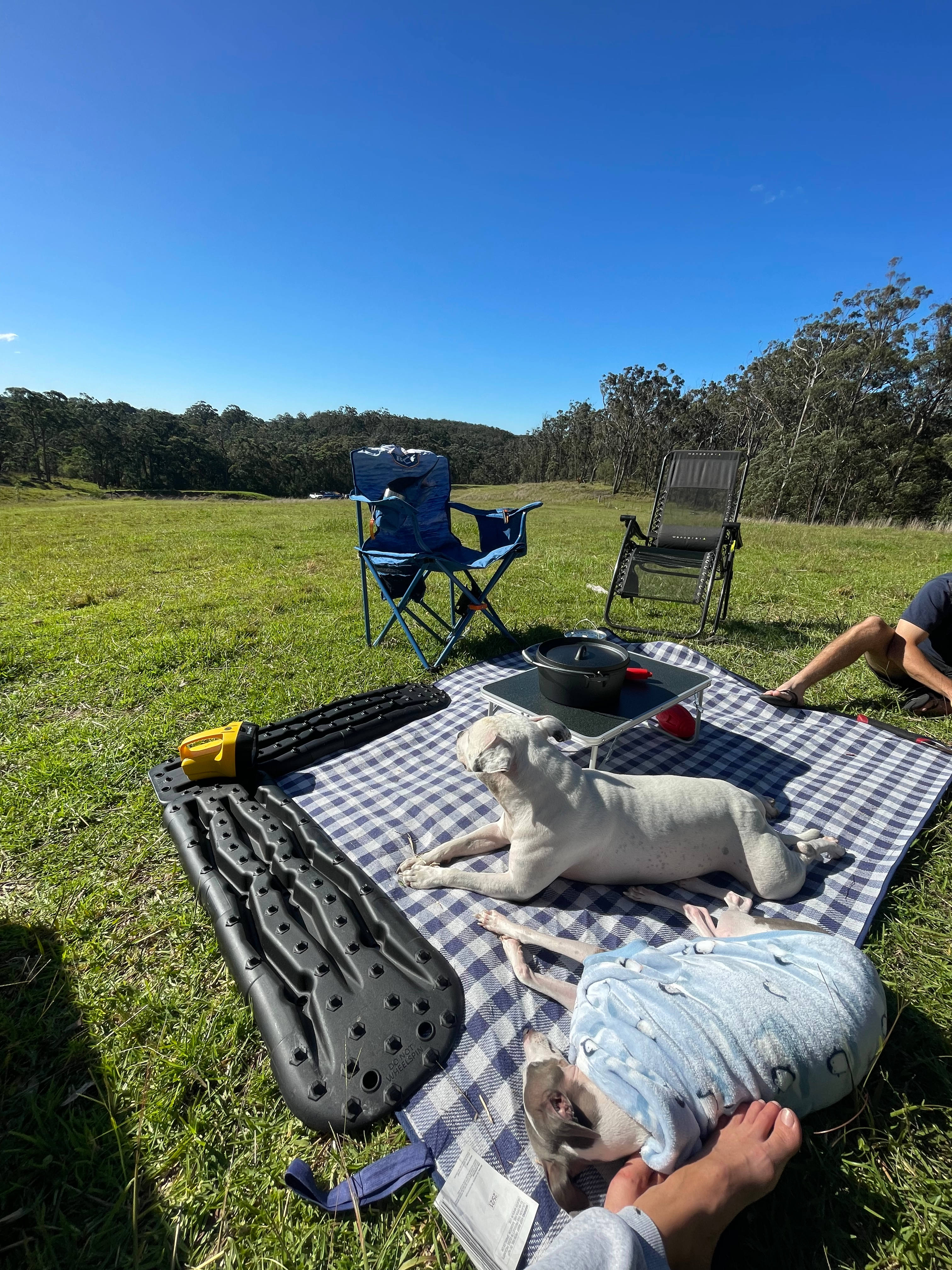 Stonepine Ridge 'where eagles fly'