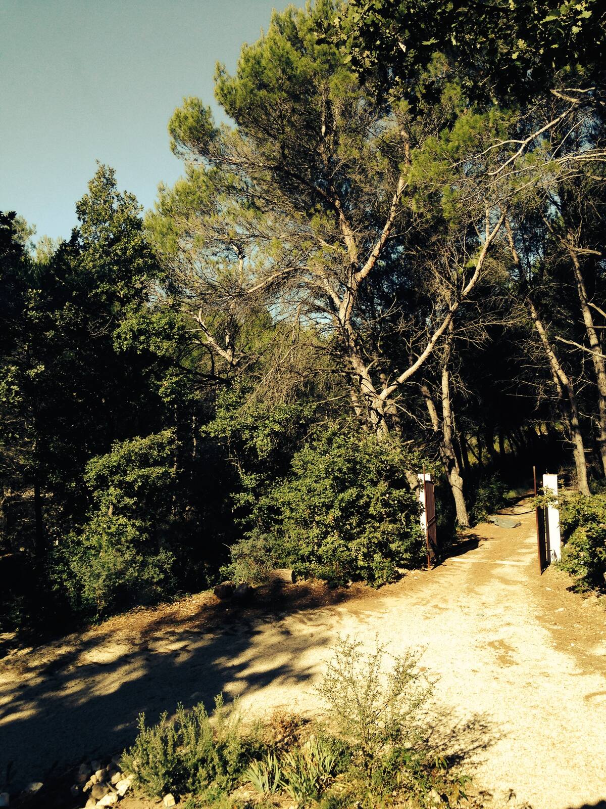Le Hameau des Chênes
