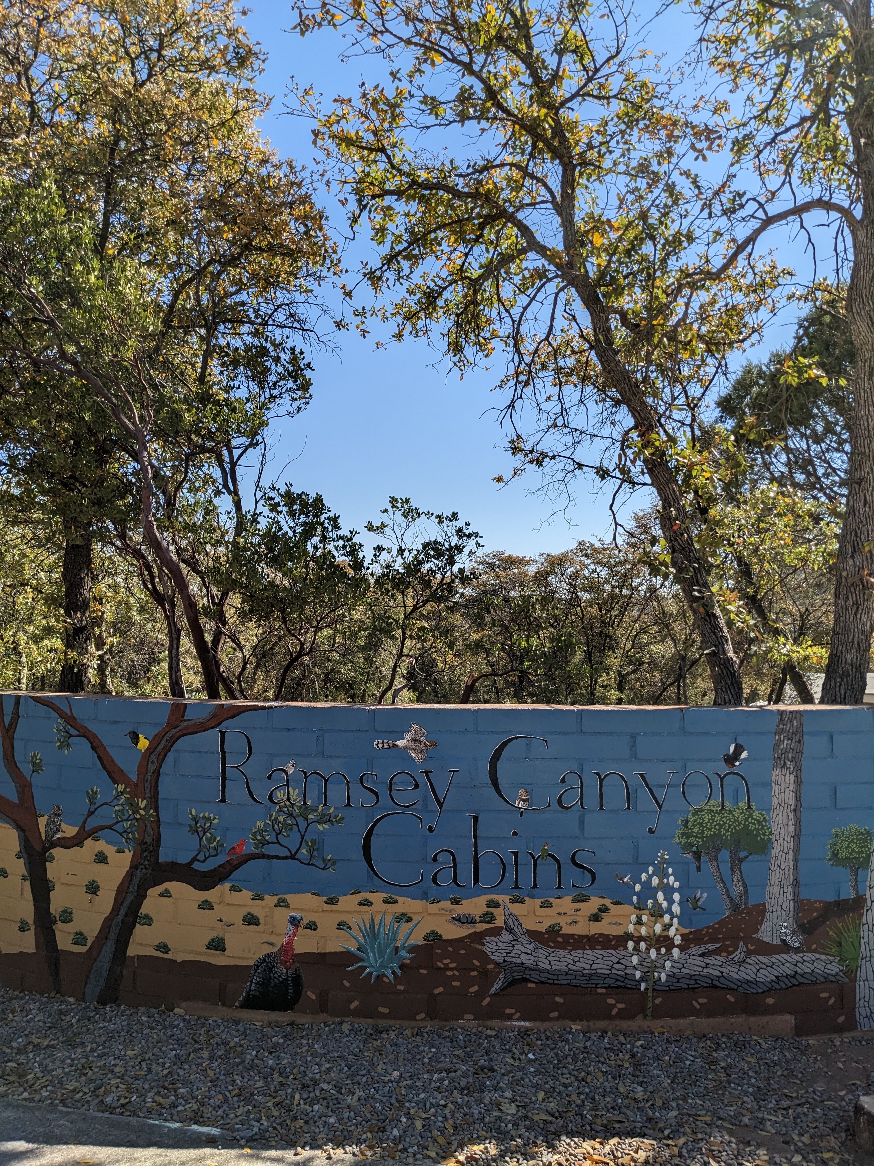 Ramsey Canyon Cabins&Bird Sanctuary