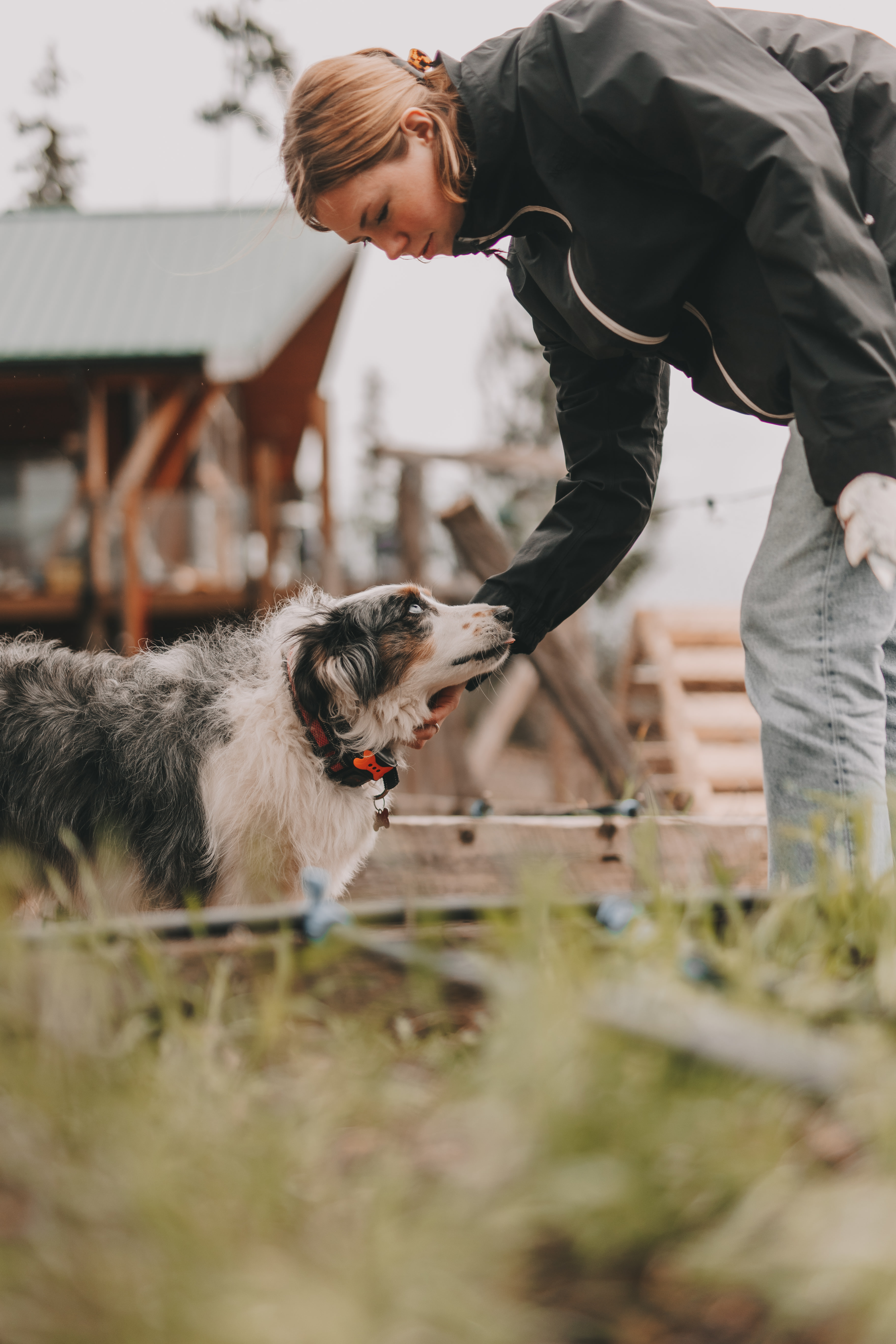 Tiny Secrets Farm & Retreat