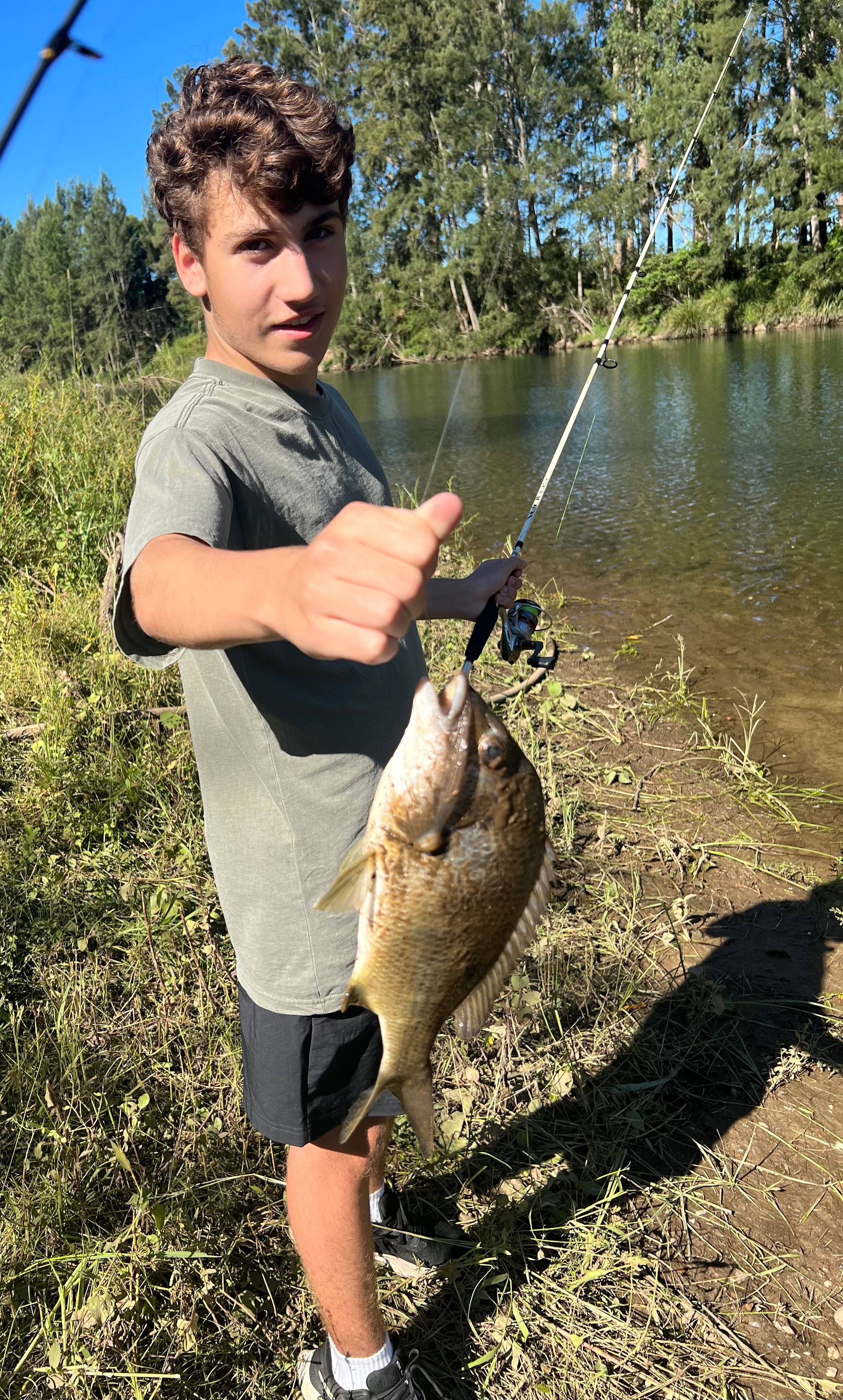 Bellinger River Camping